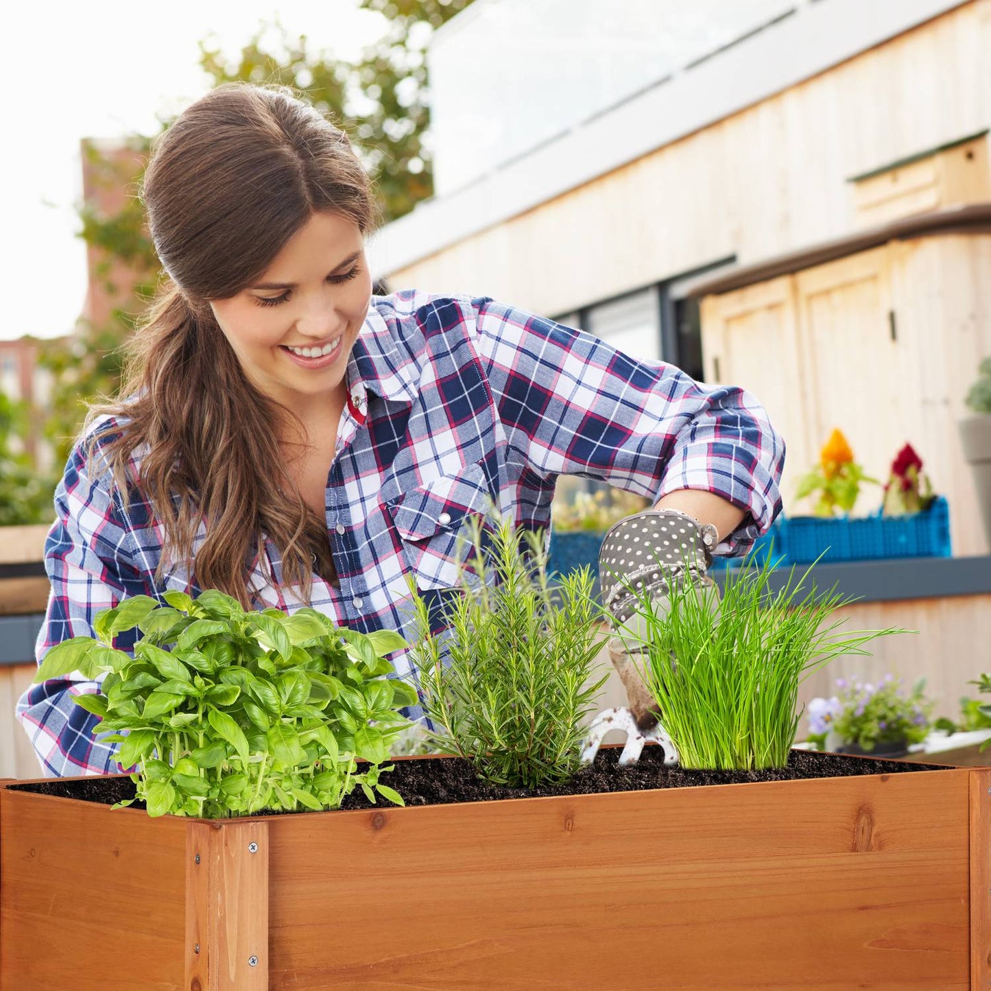 Plant shelf with growing box wood