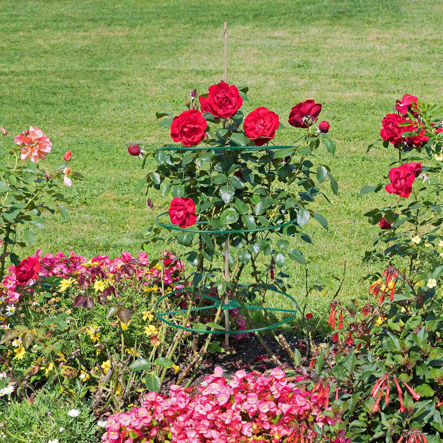 Plant support 39 cm set of 6