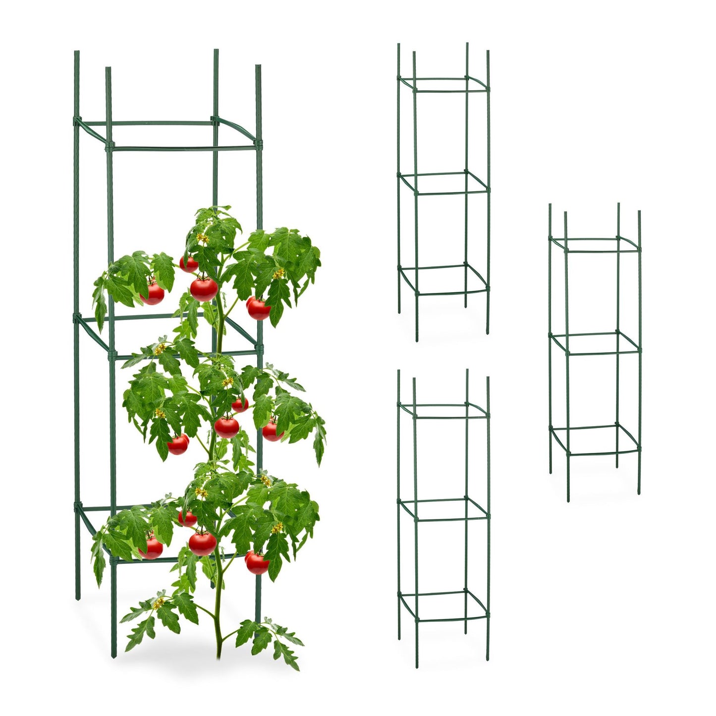 Plant support set of 4,120 cm