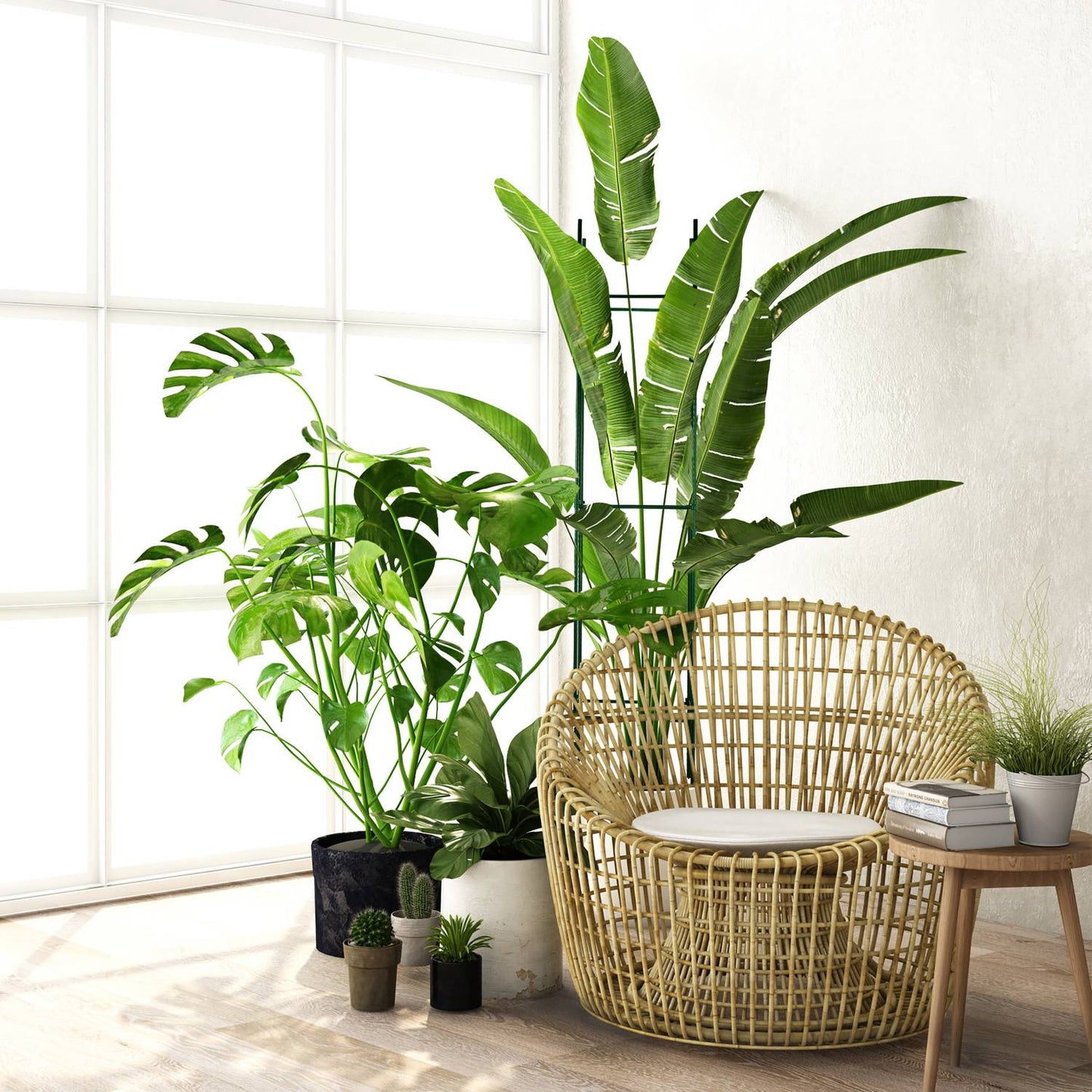 Plant support set of 4,150 cm
