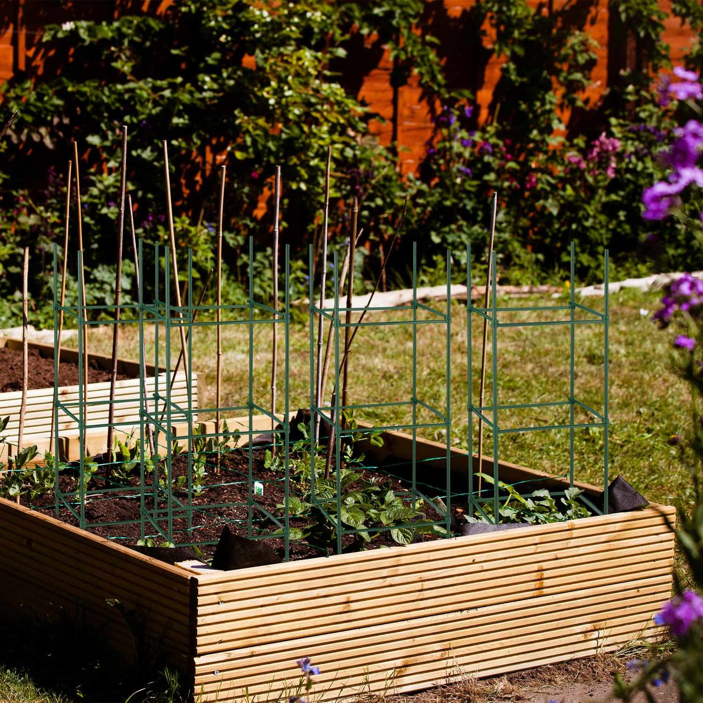 Plant support set of 4 90 cm
