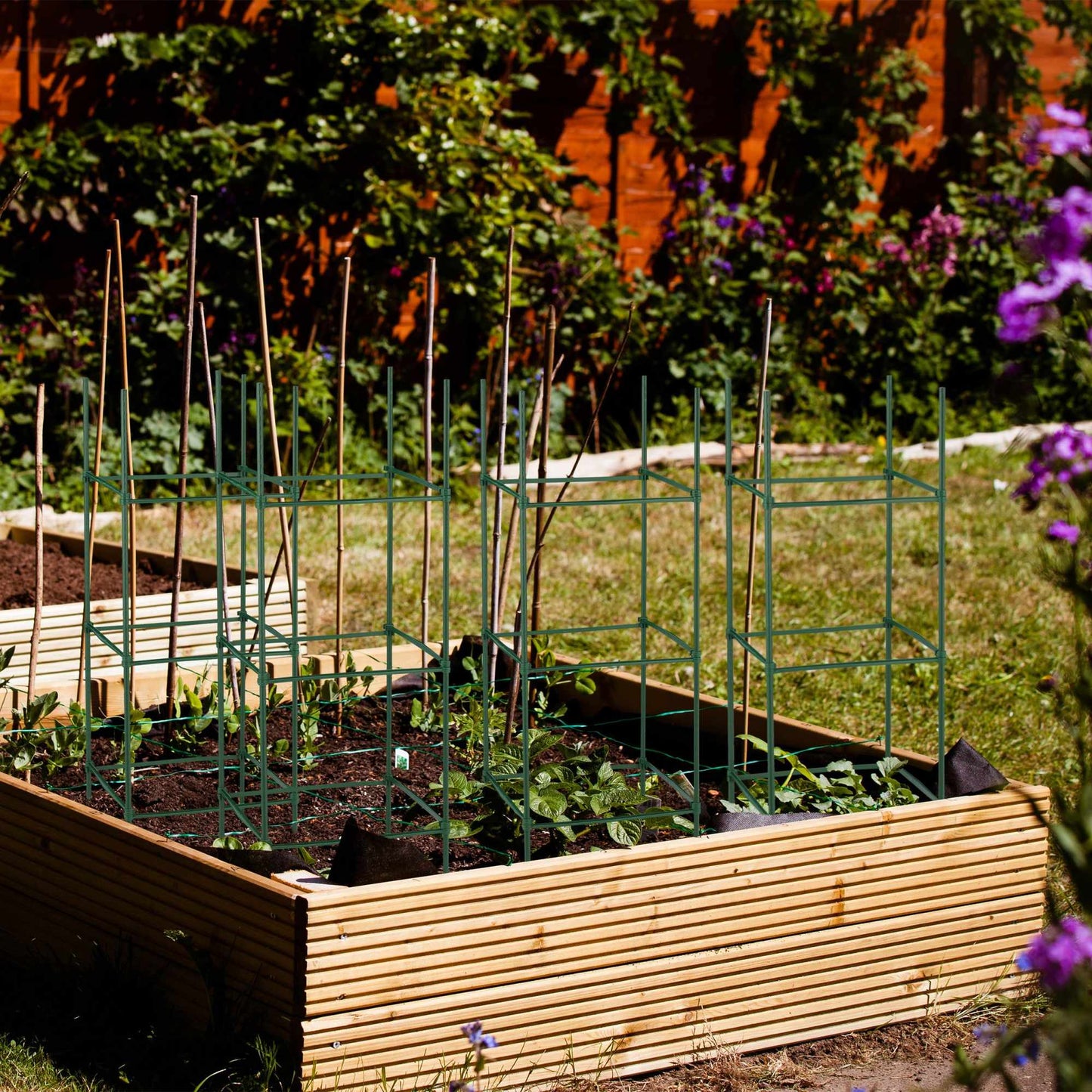 Plant support set of 4 90 cm