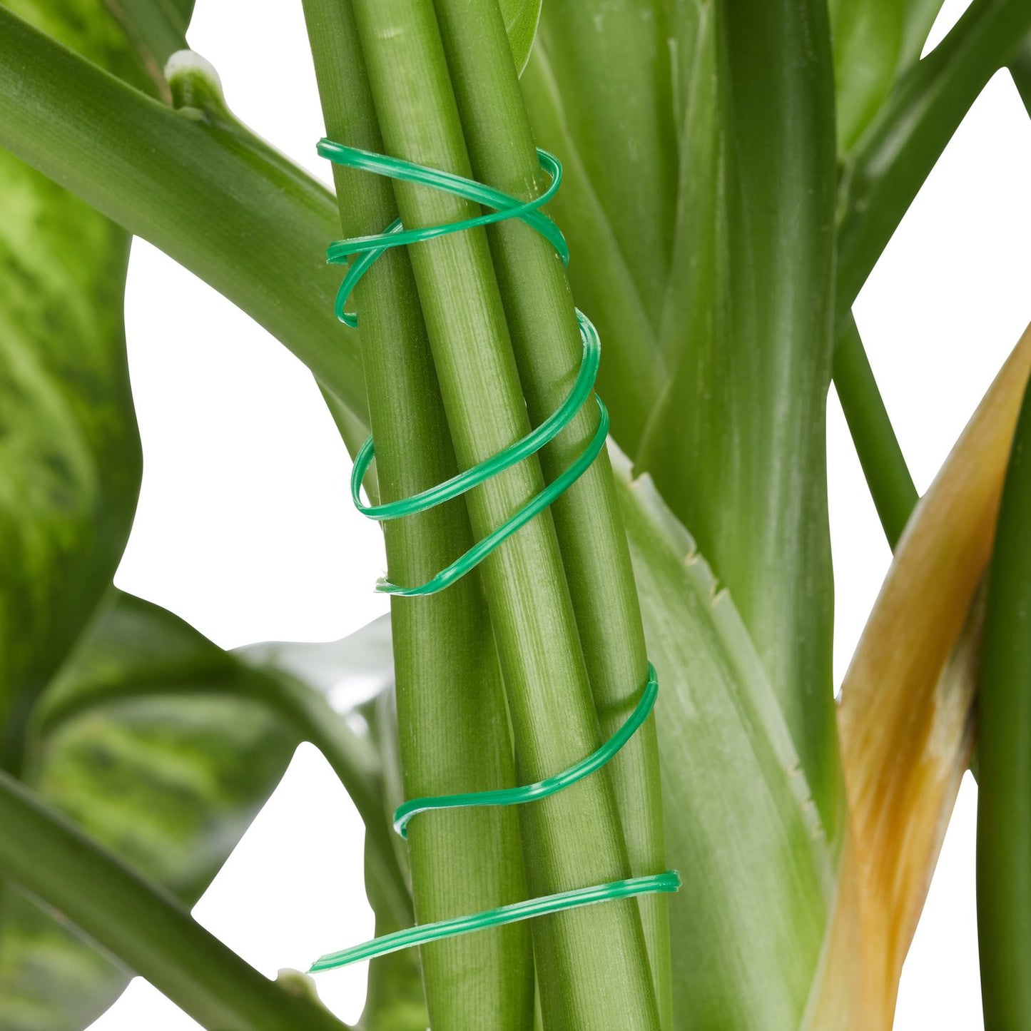 Plant support set with 110 parts