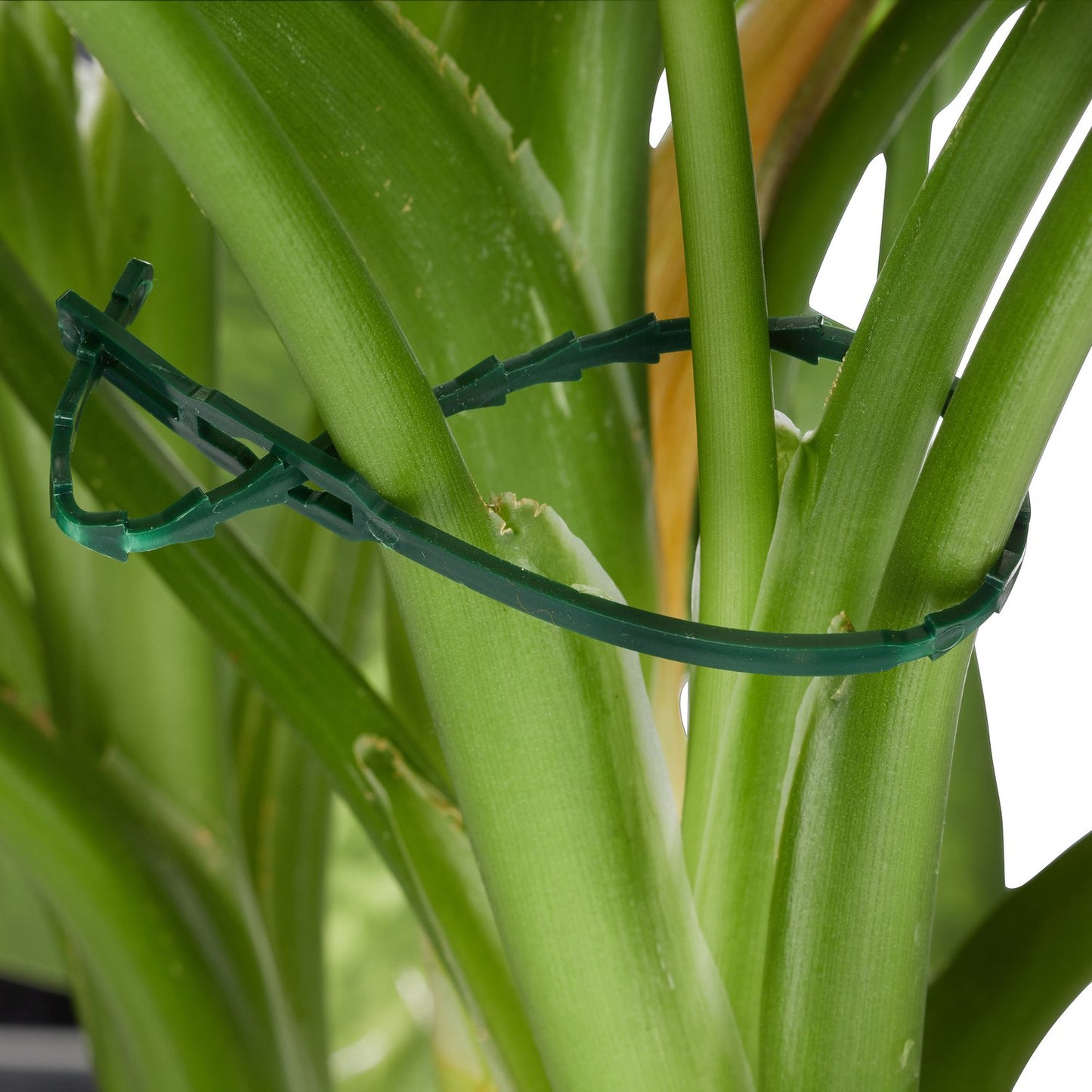 Plant support set with 110 parts