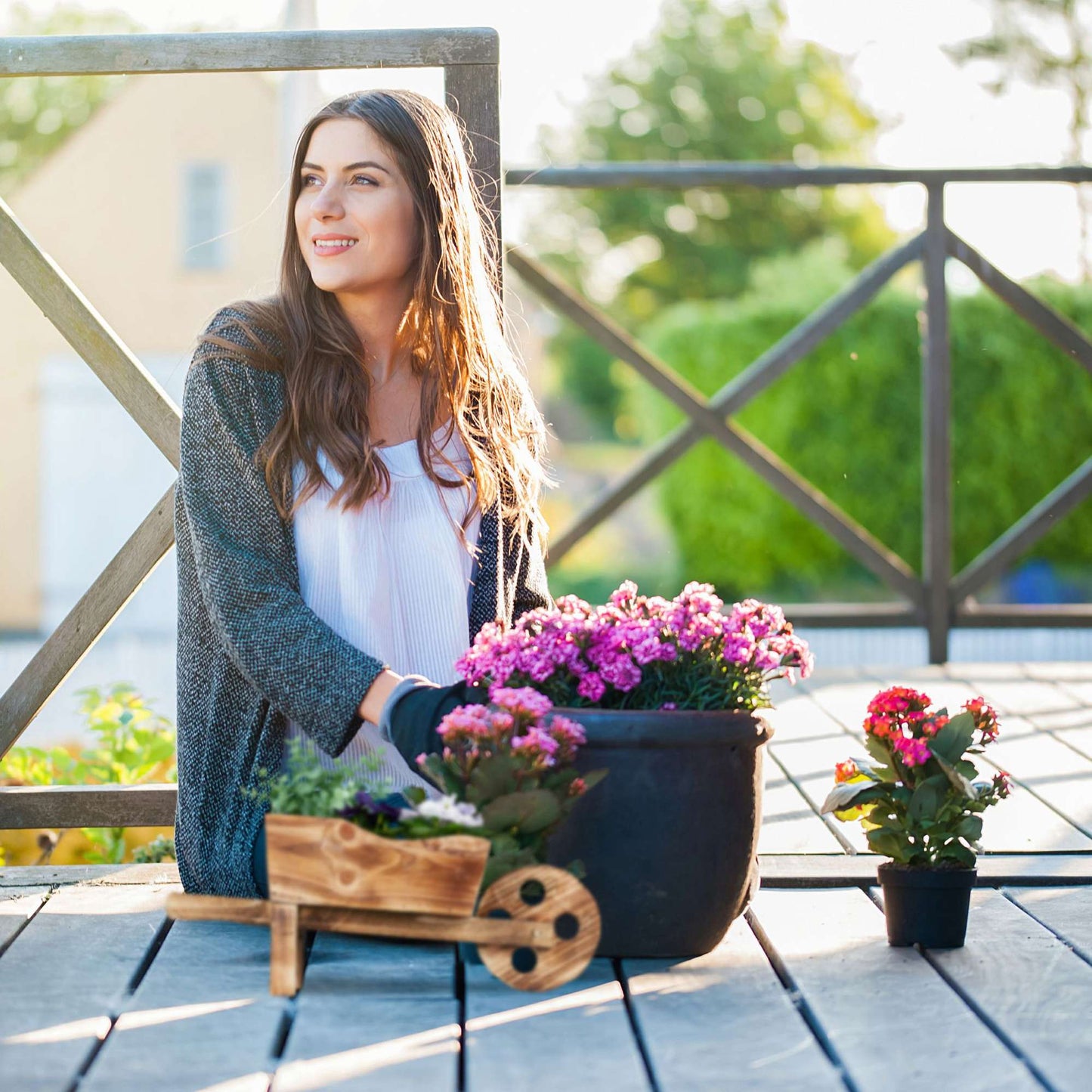 Plant wheelbarrow set of 2