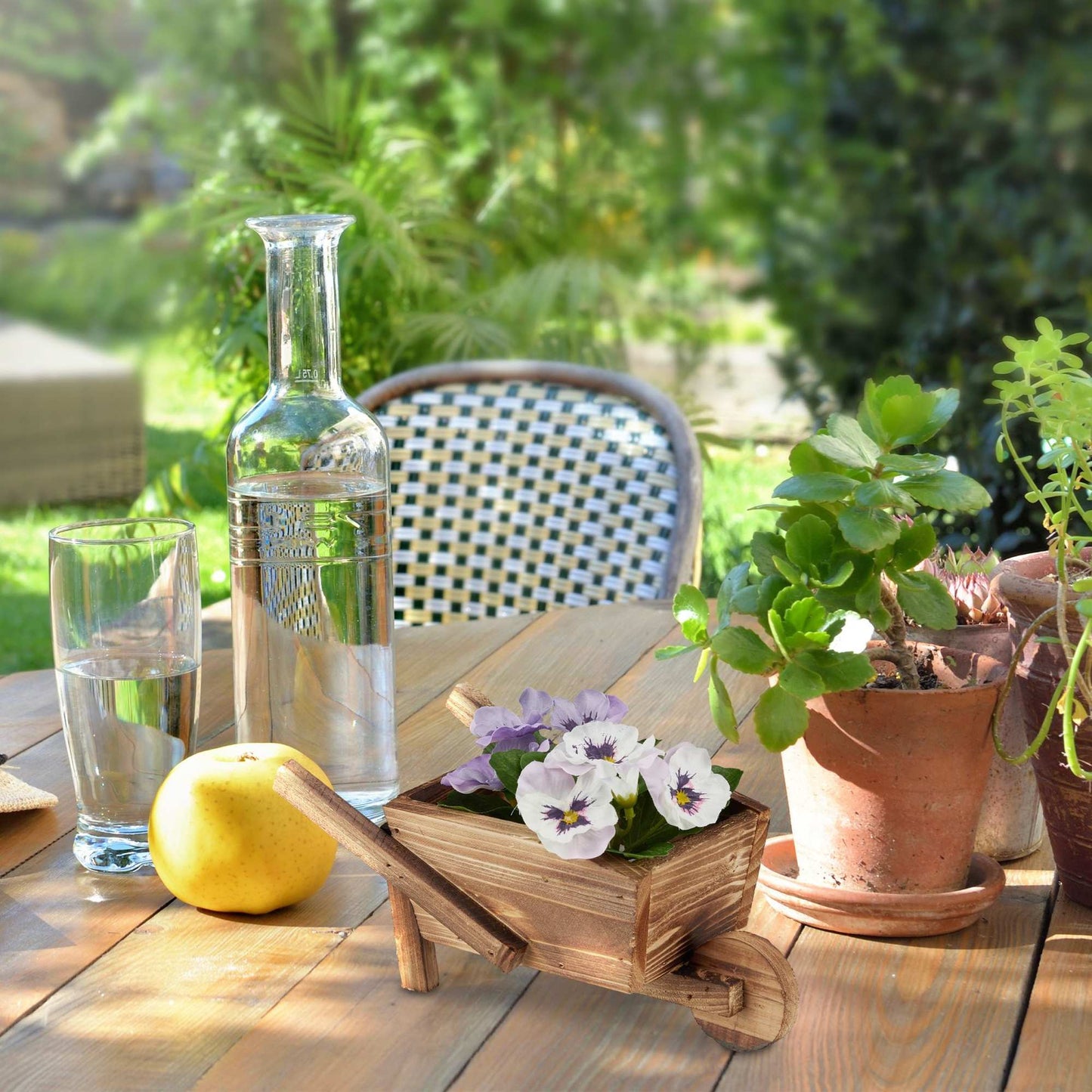 Plant wheelbarrow set of 2