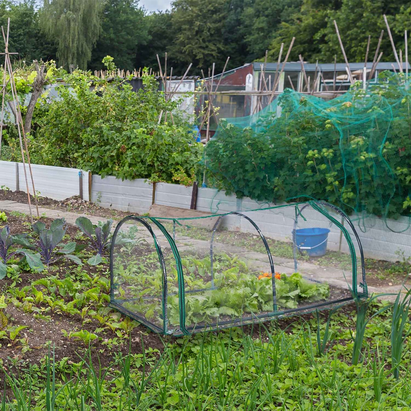 Plastic garden greenhouse tent