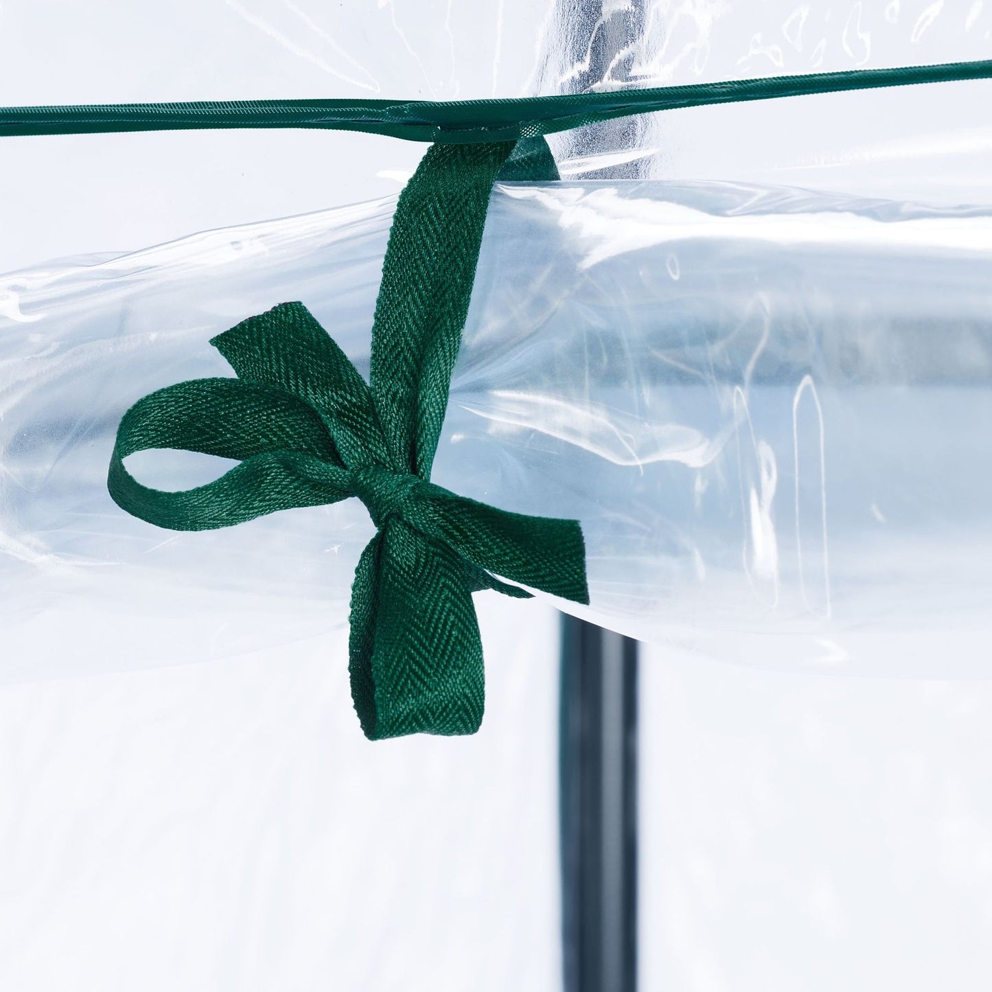 Plastic tomato greenhouse