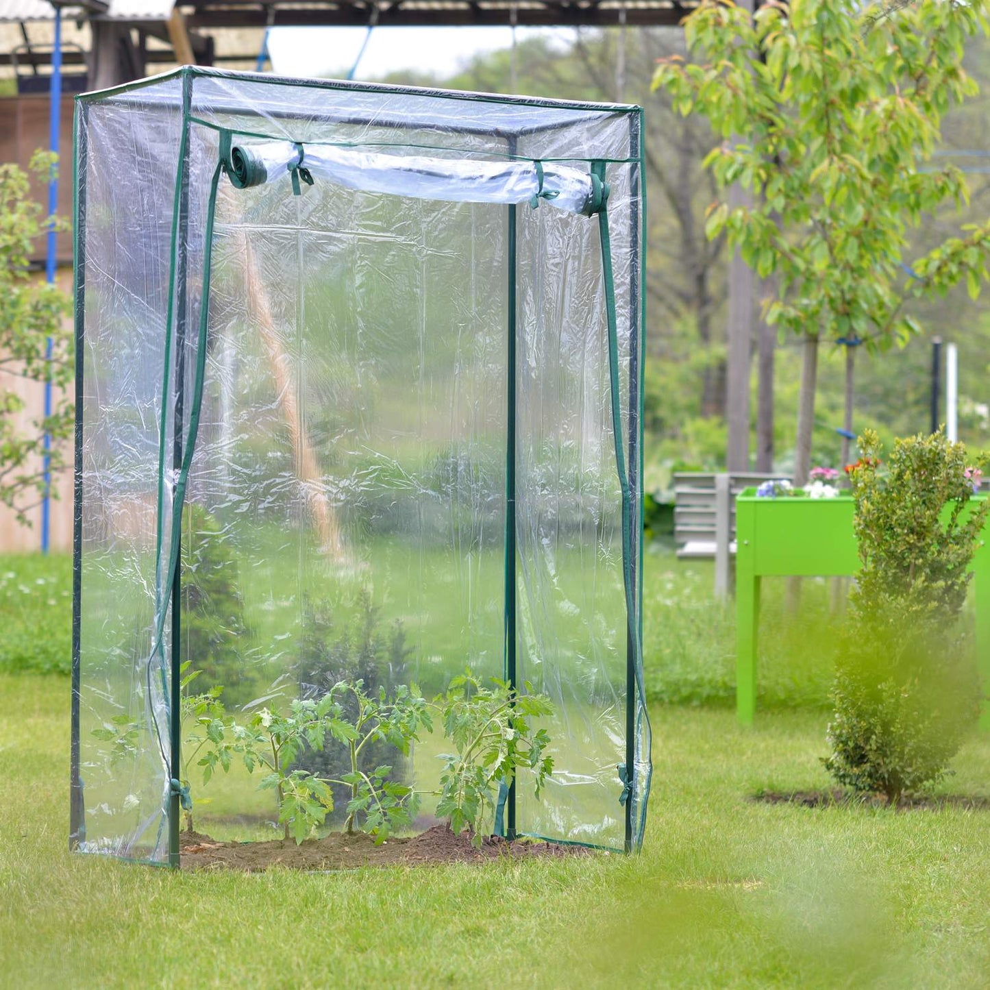 Plastic tomato greenhouse