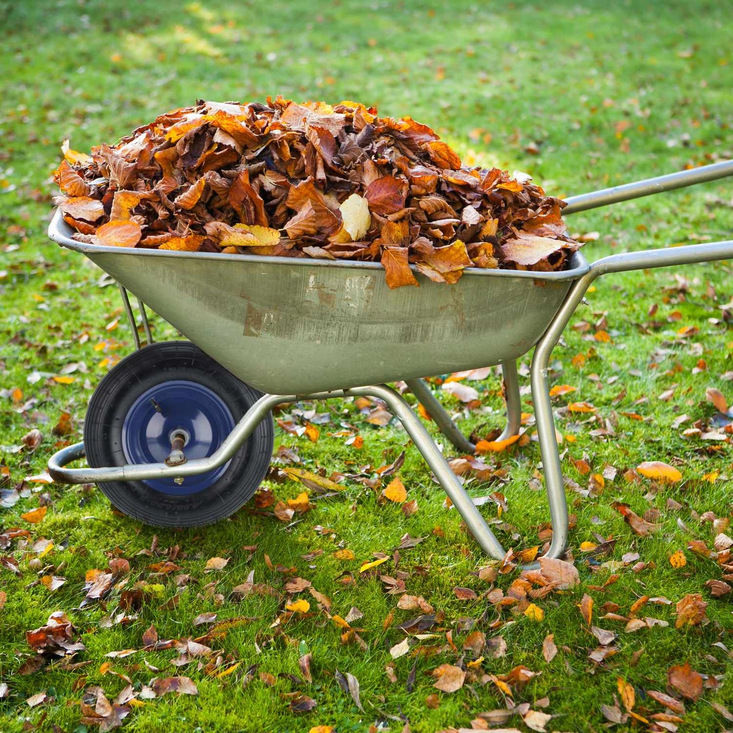 Pneumatic wheelbarrow wheel 4.80 4.00-8
