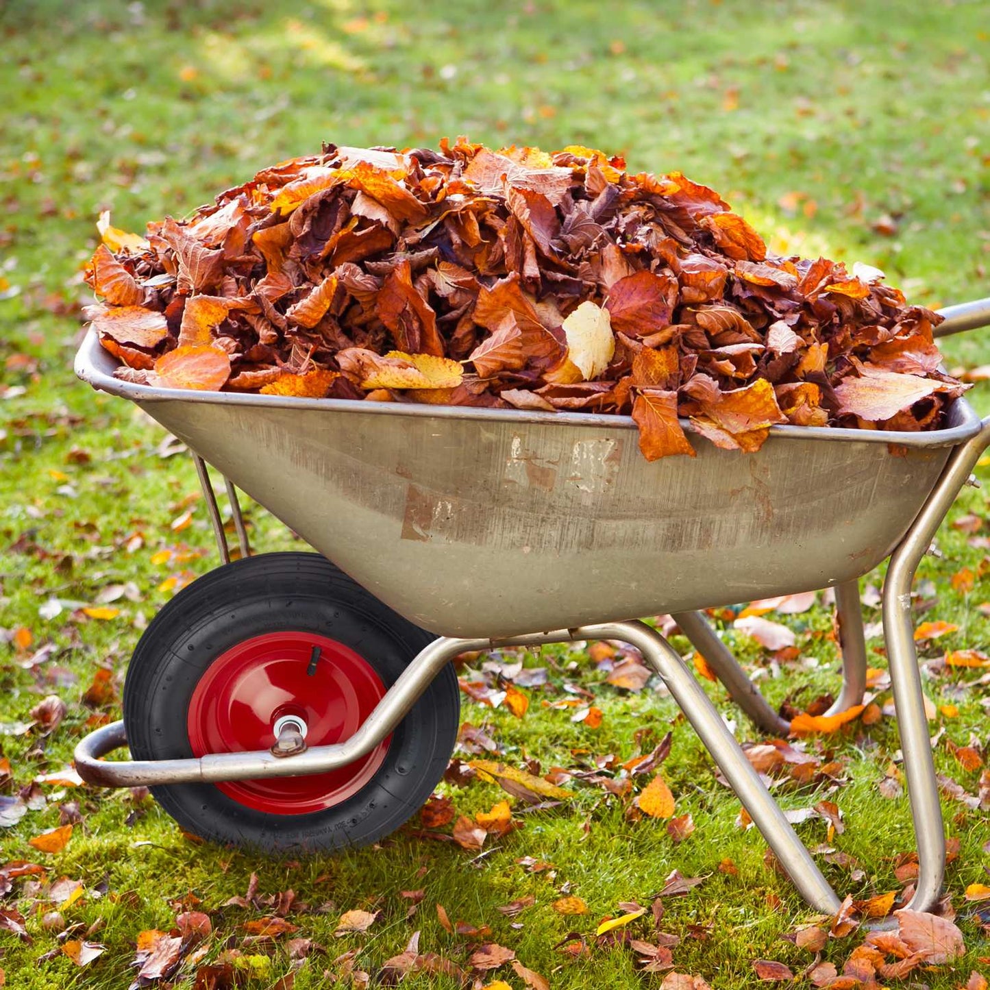 Pneumatic wheelbarrow wheel 4.80 4.00-8