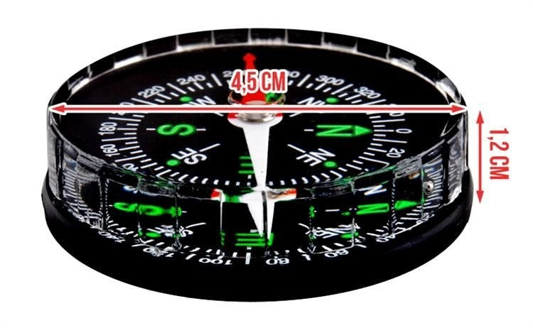 Pocket compass