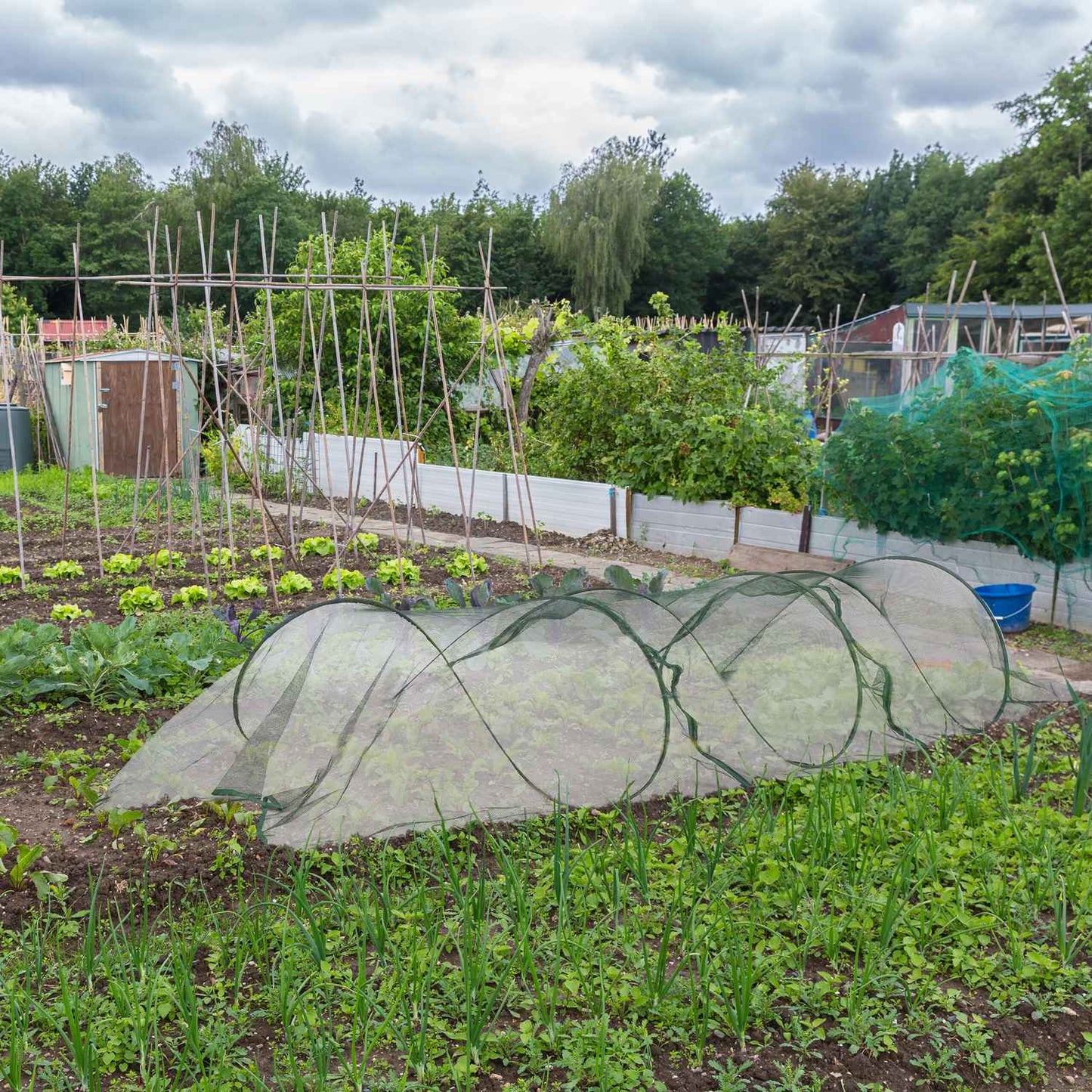 Pop-Up Greenhouse Tunnel 3.5m