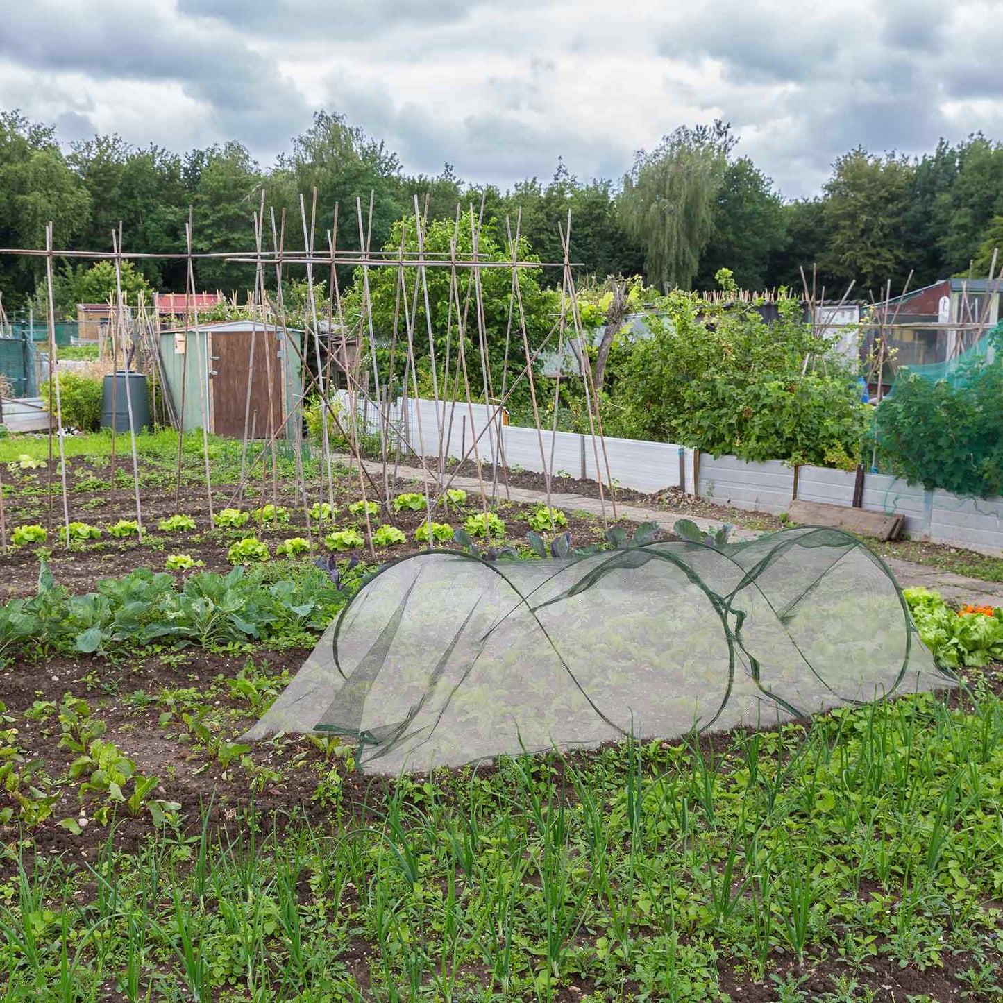 Pop-Up Greenhouse Tunnel