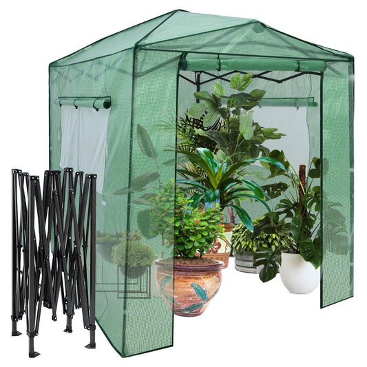 Portable Pop-up Greenhouse Walk-in Garden Greenhouse 180 x 250 x 230 cm Green