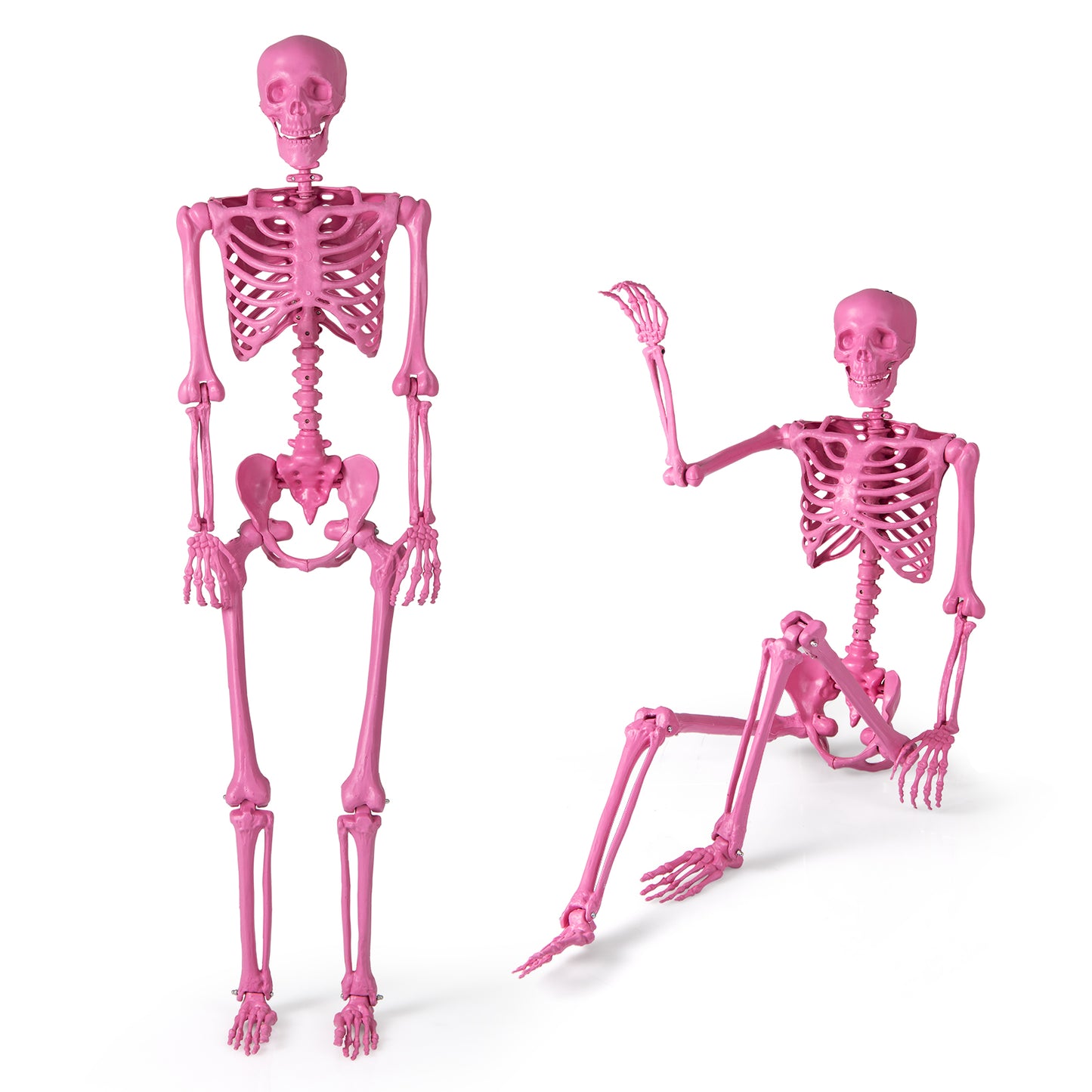 Posable Pink Skeleton Halloween Decoration, 160 cm