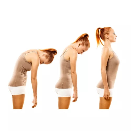 Posture and spine corrector 22758