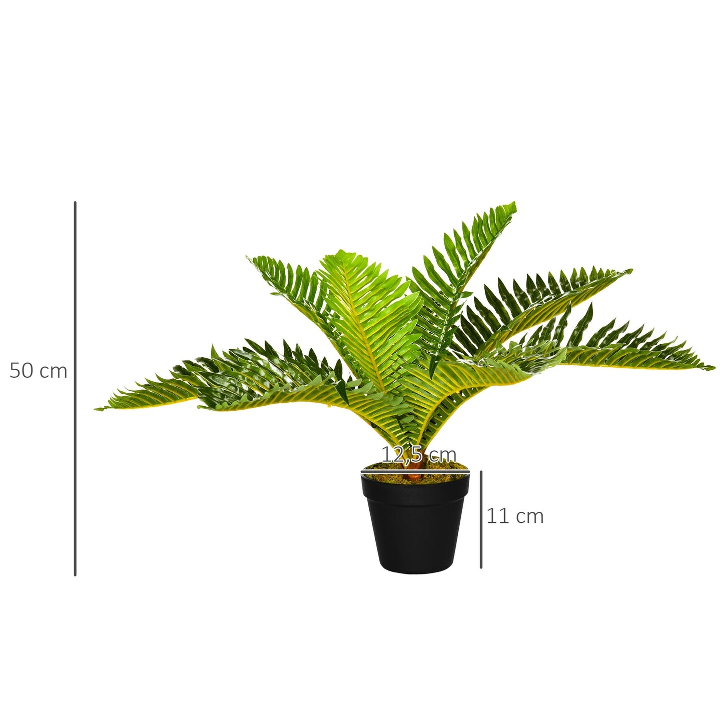 50 cm indoor pot plant - perfect for living room and bedroom