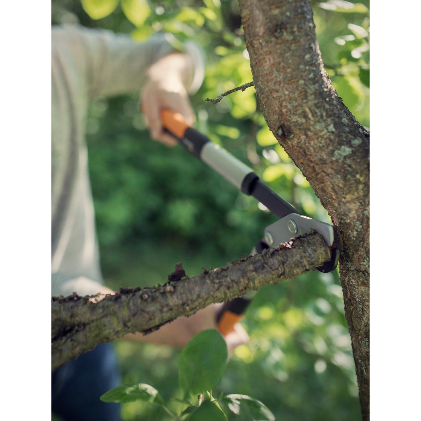 PowerGear X pruning shears LX94 M