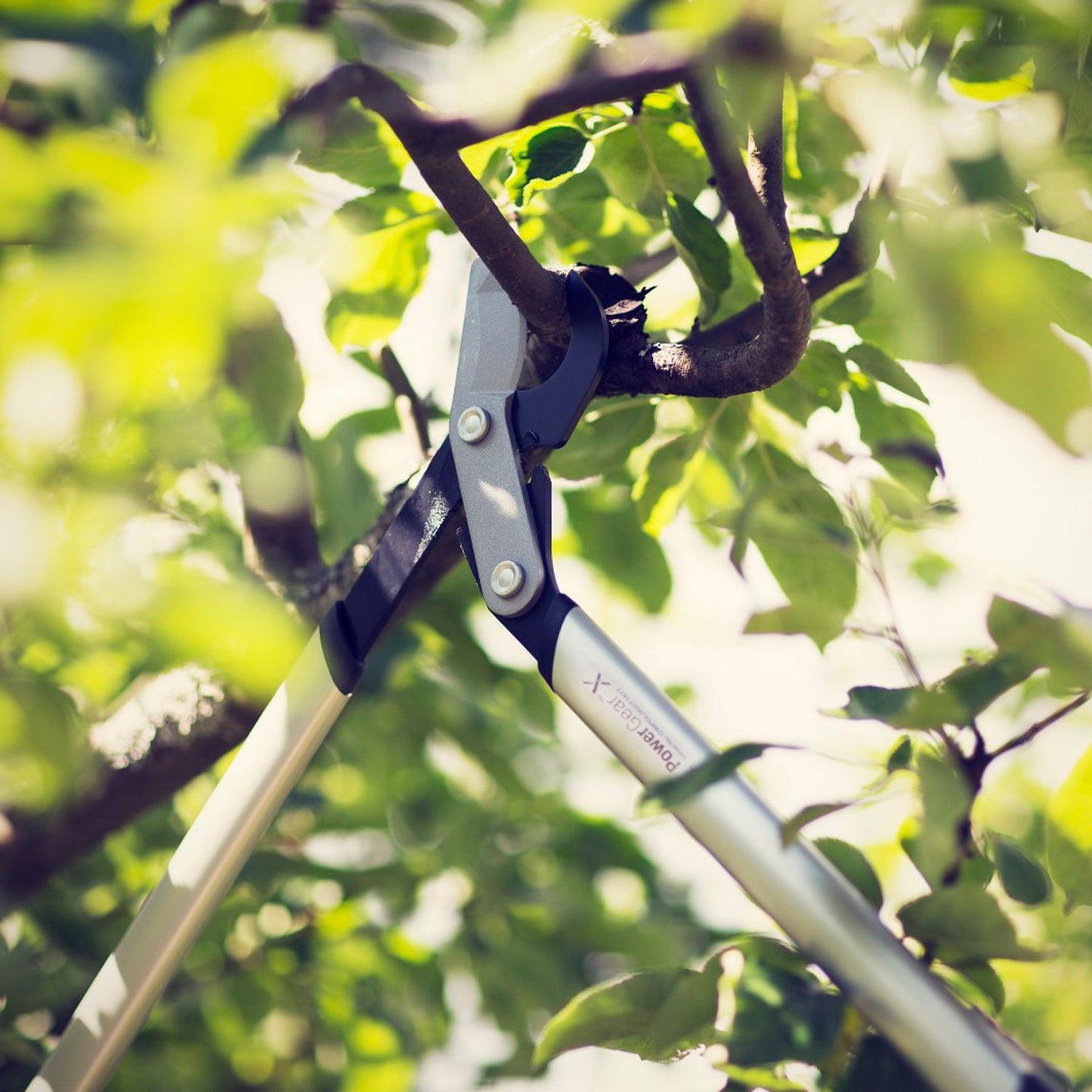 PowerGear X pruning shears LX94 M