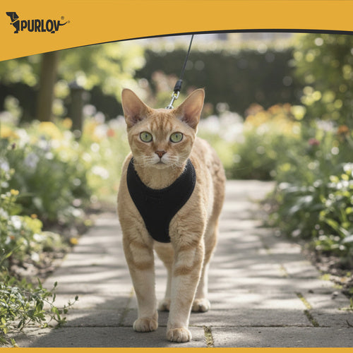Pressure-Free XS Harness for Dogs & Cats with Leash