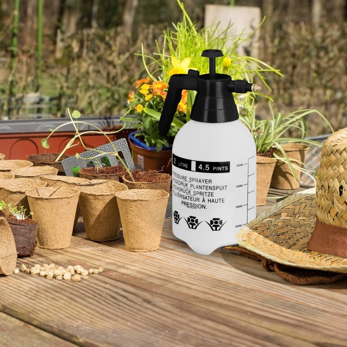 Pressure sprayer 2 liters black