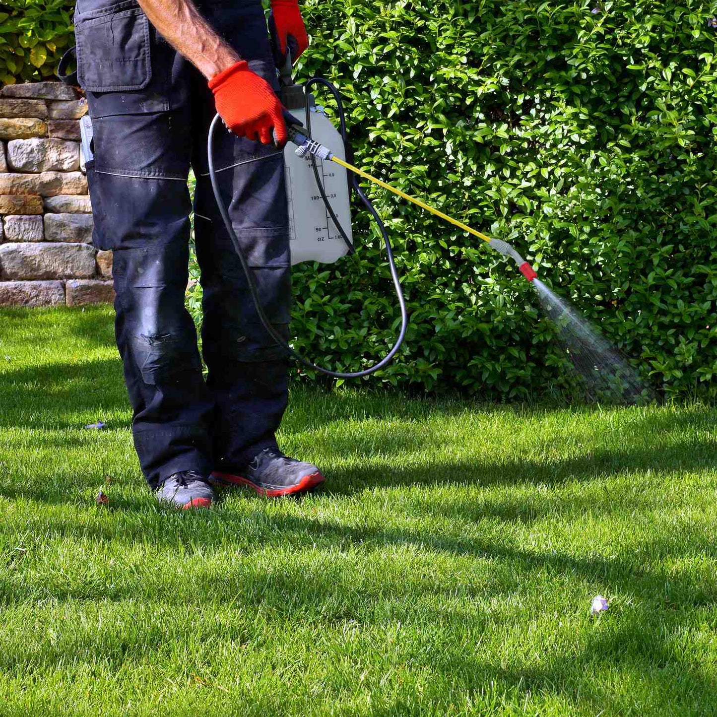 Pressure sprayer 5 l