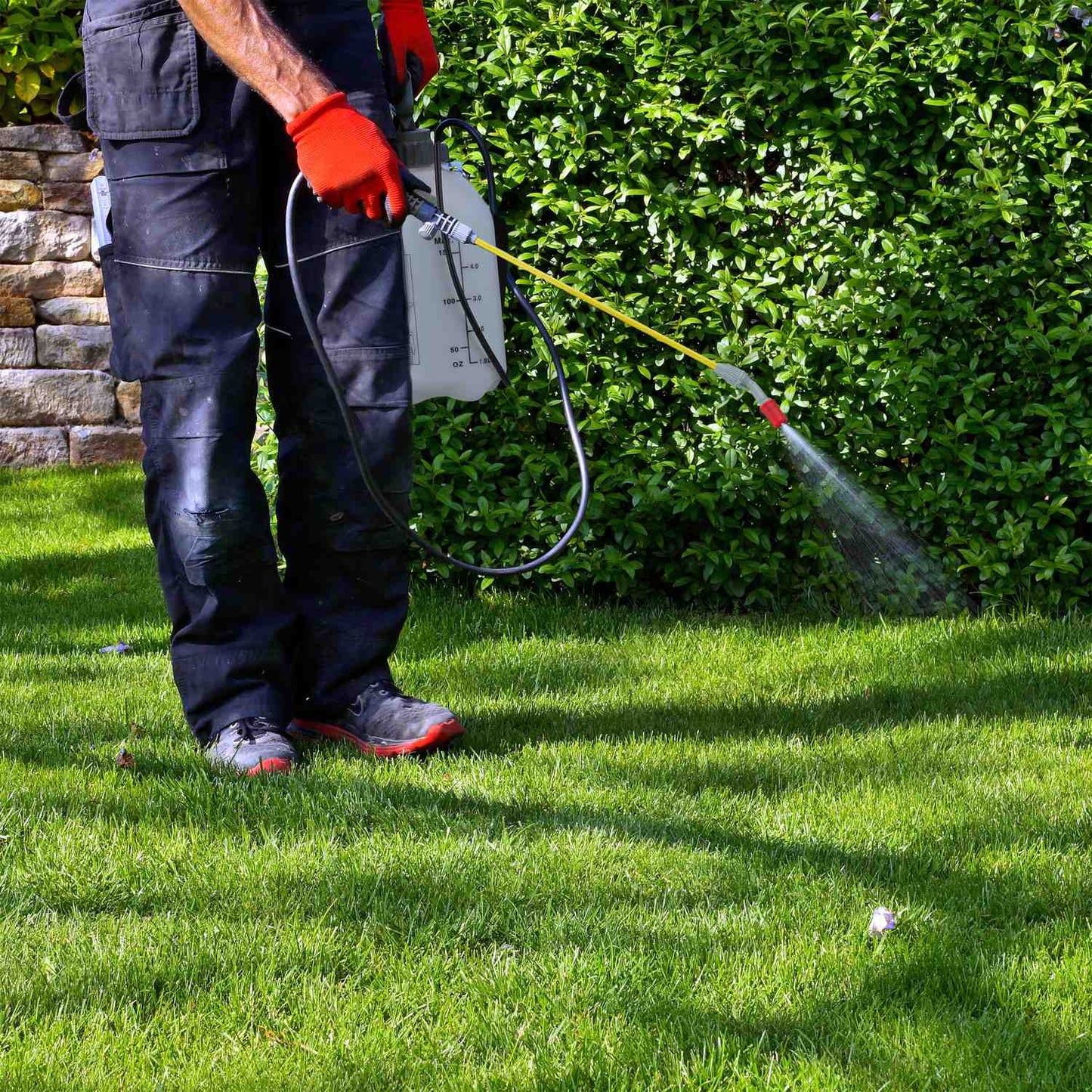 Pressure sprayer 5 l