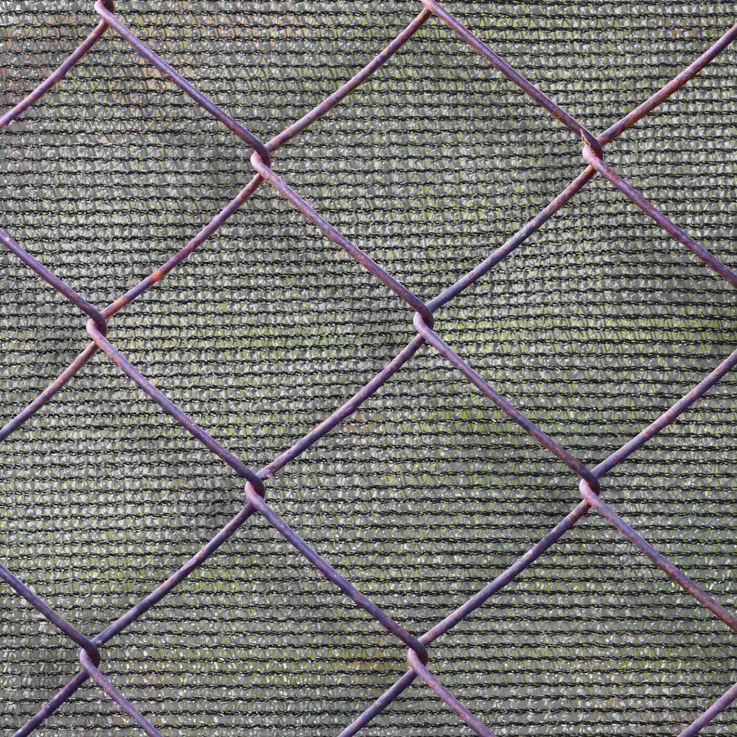 Privacy screen 1 m high anthracite grey