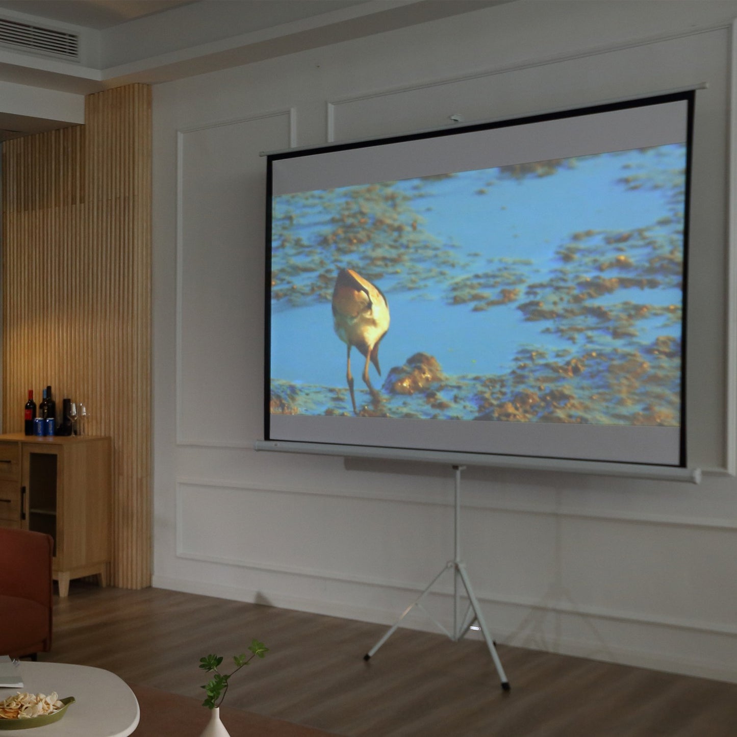 Projection Screen 4:3 Format, 100-Inch, White