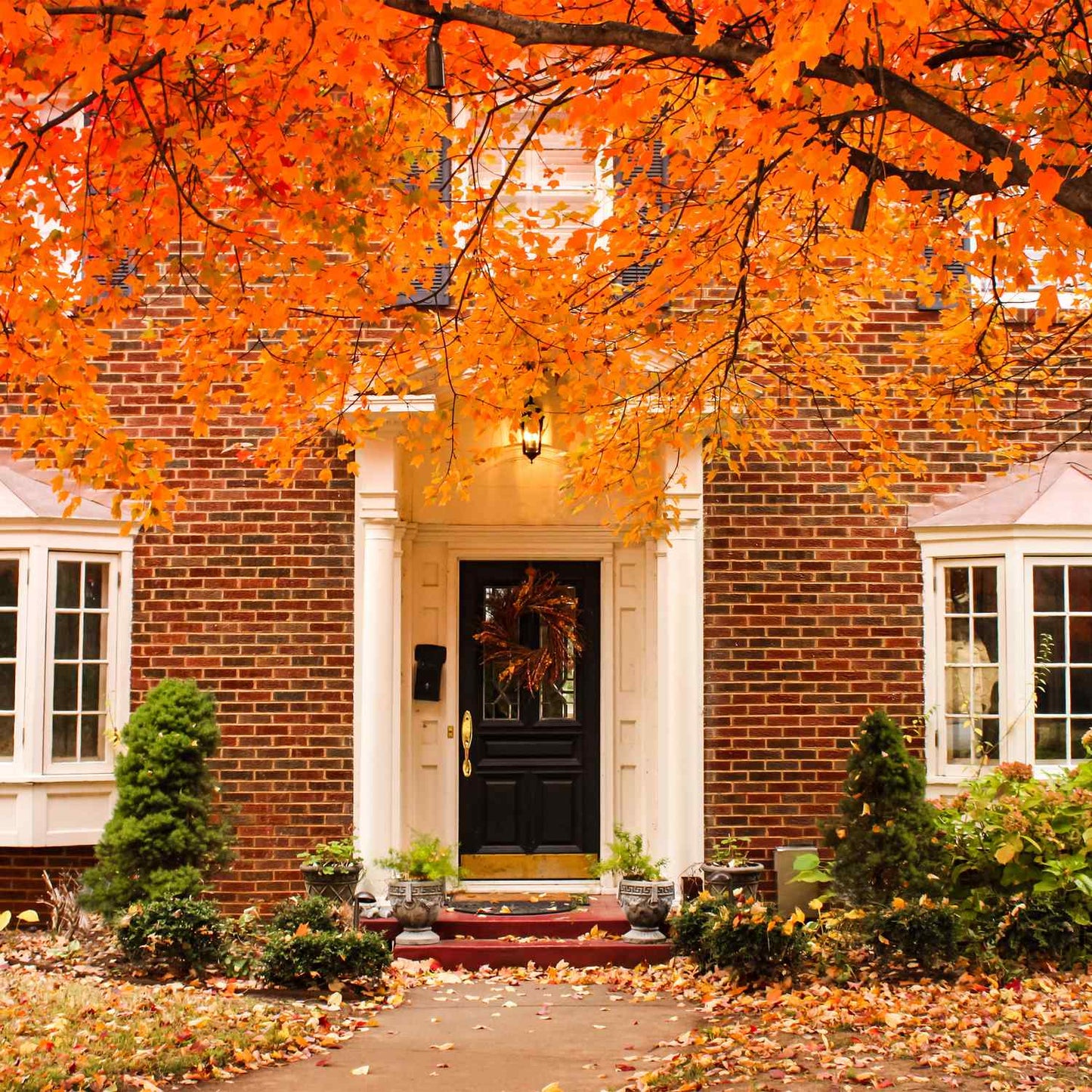 Protection for gutters 6 m