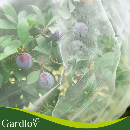 Protective Net 3x6m HDPE for Insect & Bird Control