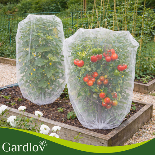 Protective Net 3x6m HDPE for Insect & Bird Control