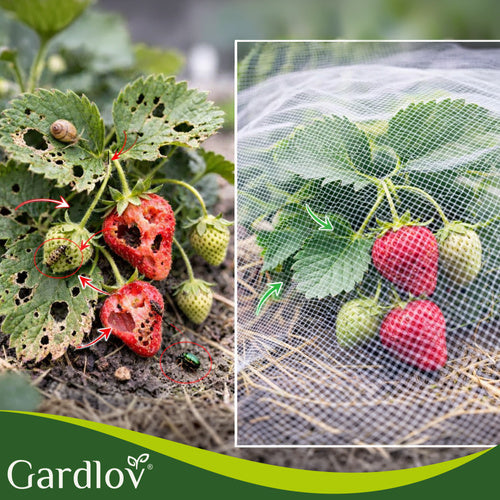 Protective Net 3x6m HDPE for Insect & Bird Control