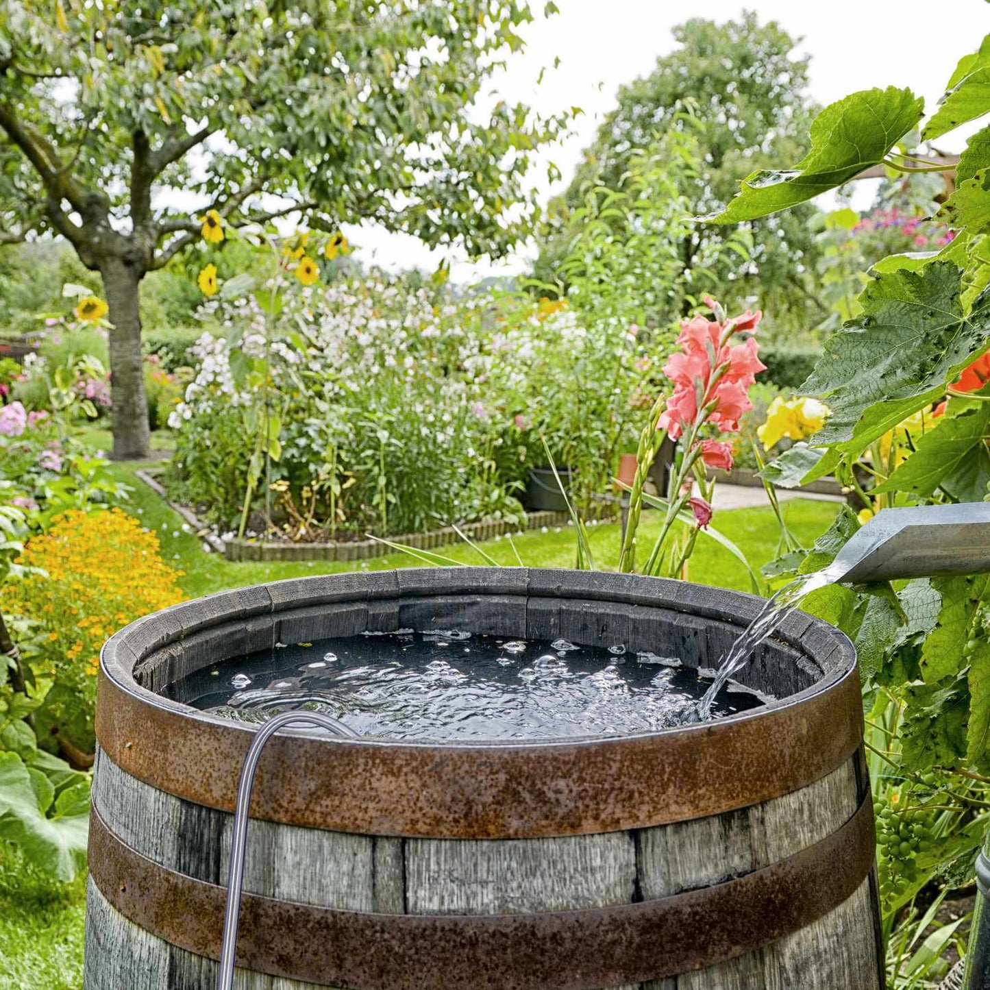 Pump hose 187 cm long