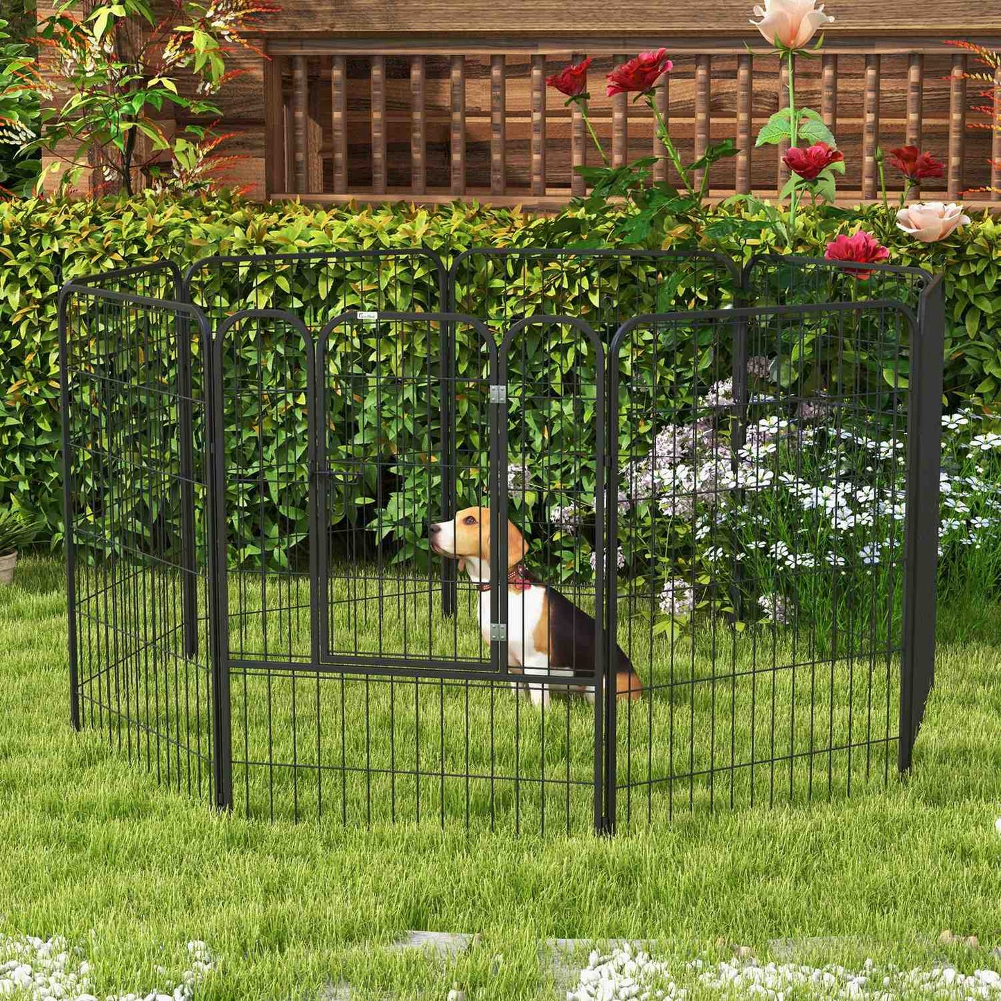 Metal Outdoor Dog Playpen - Customizable Shape, Door
