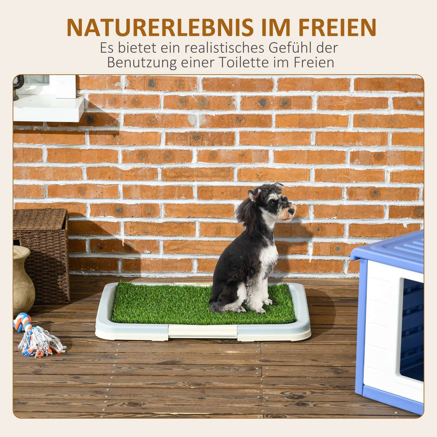 Artificial grass dog toilet, blue, 63x48.5 cm