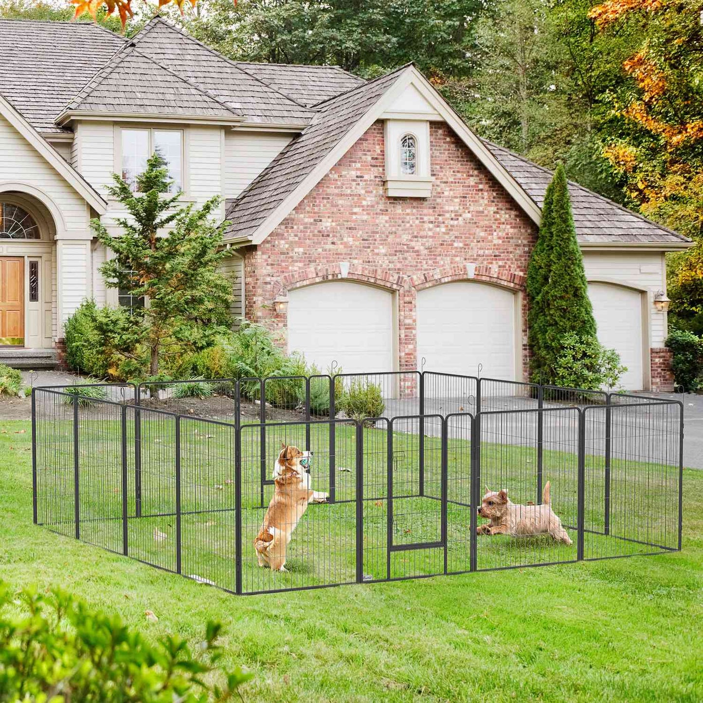 Outdoor Puppy Kennel - Steel enclosure with double doors