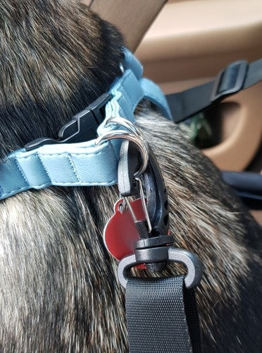 Purlov 20973 seat dog carrier