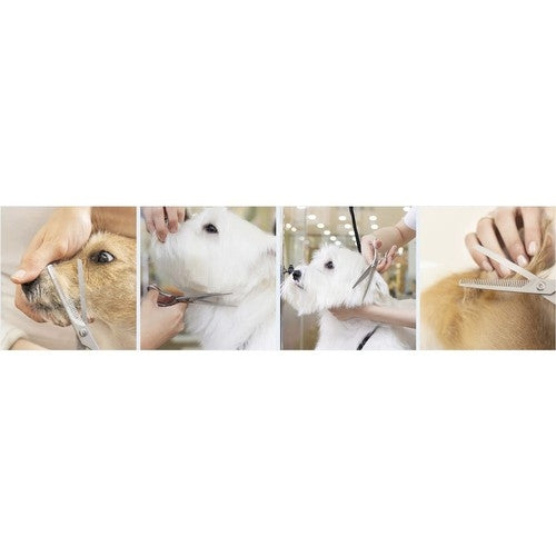 Purlov 23186 dog grooming scissors