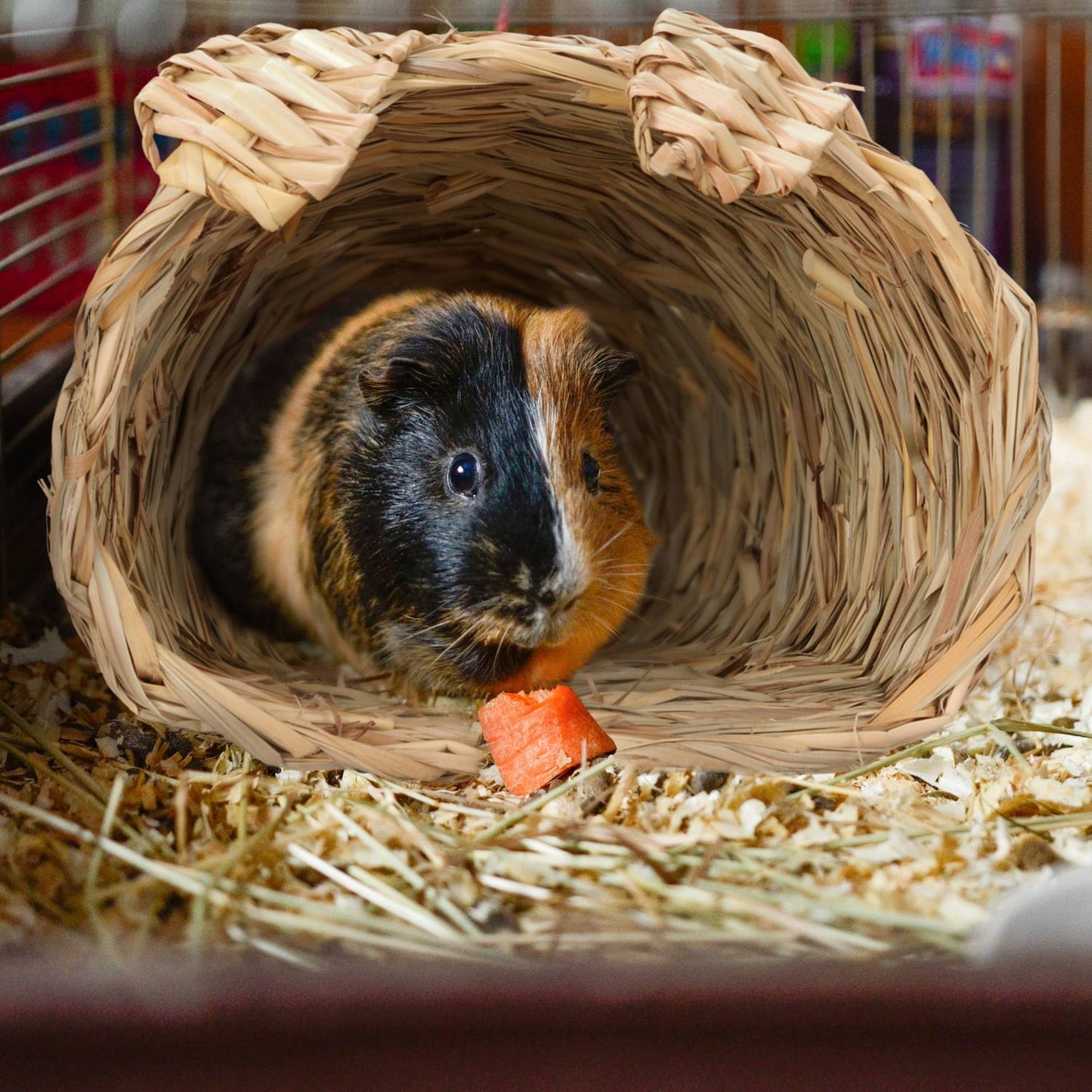 Rabbit house Set of 2 with toys