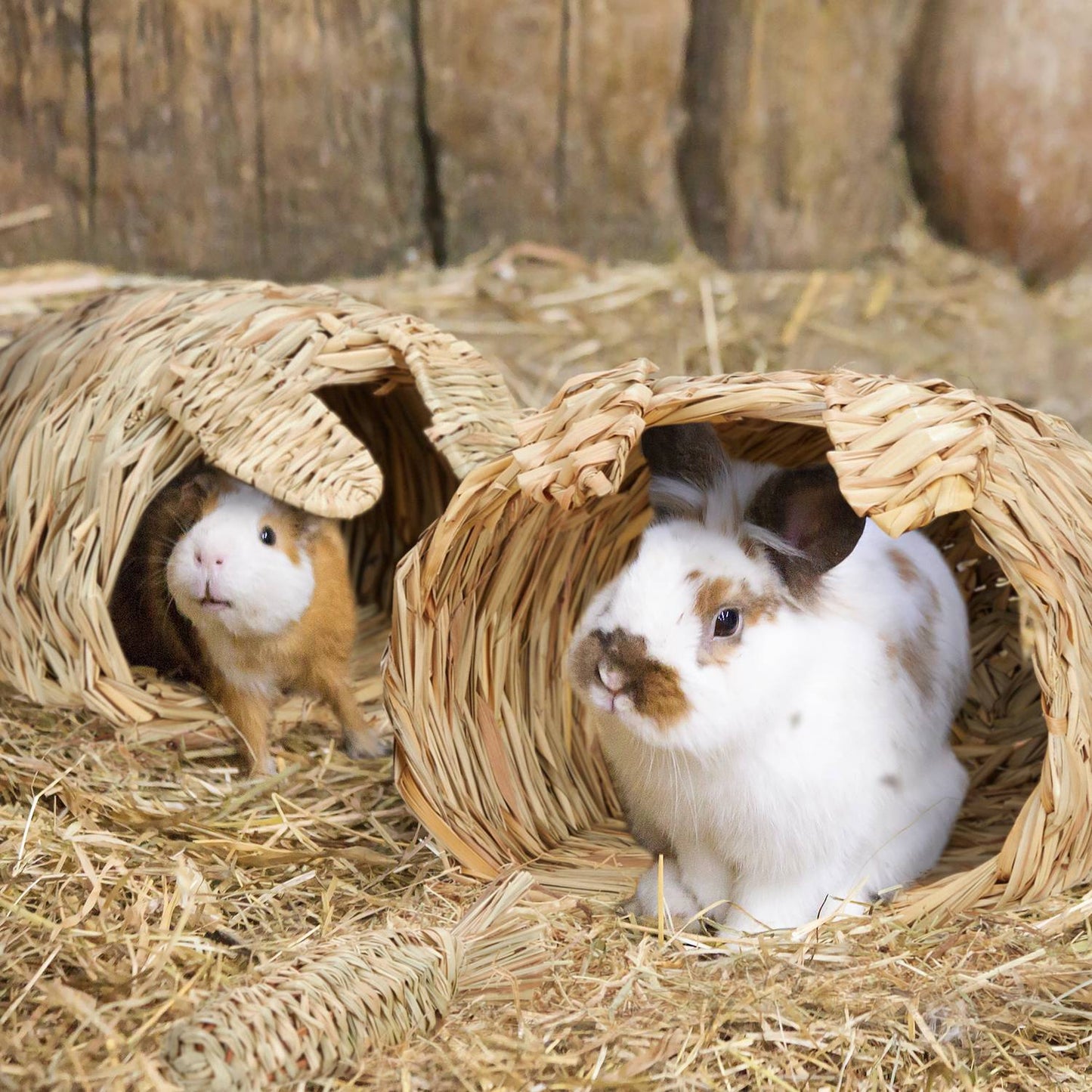 Rabbit house Set of 2 with toys