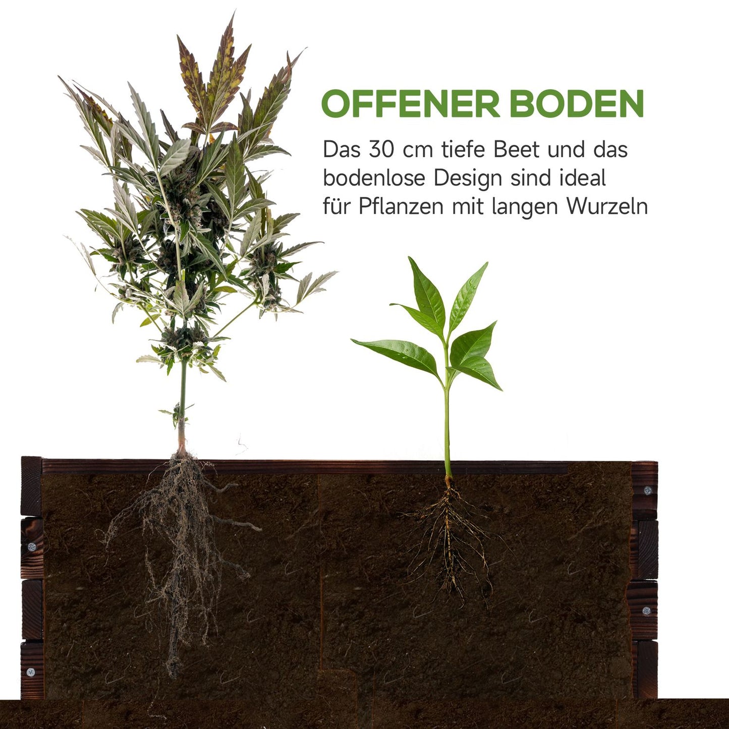 Planter box in solid wood, dark brown, 60x60x23 Cm