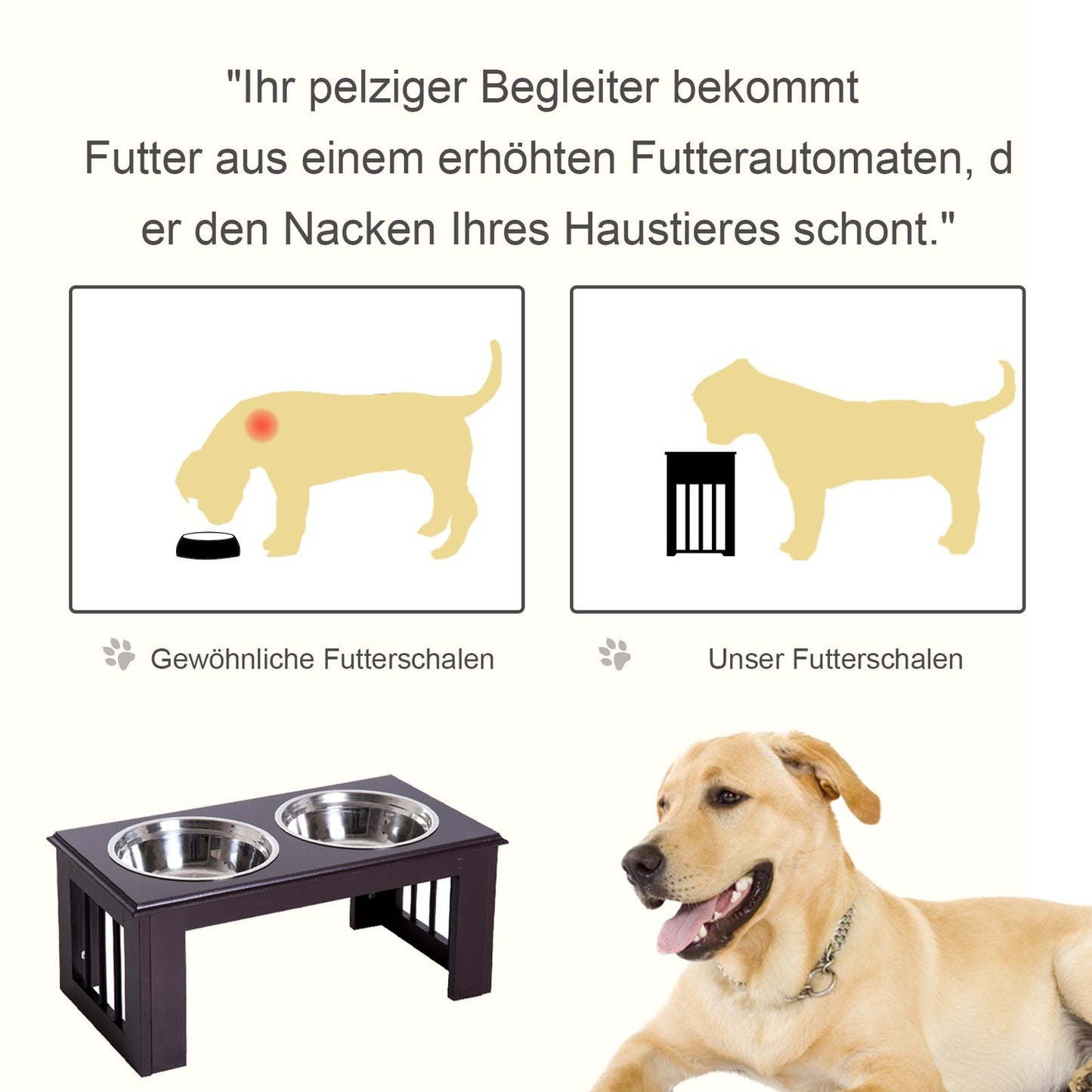 Raised Dog Bowl Stand - Stainless Steel, 23""x12""x10""