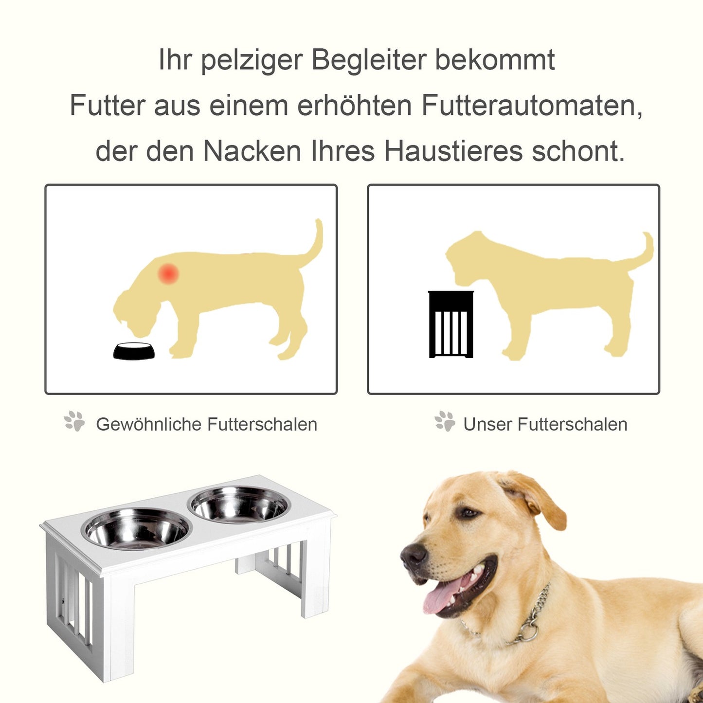 Raised dog food bowl with stainless steel, easy to care for, white