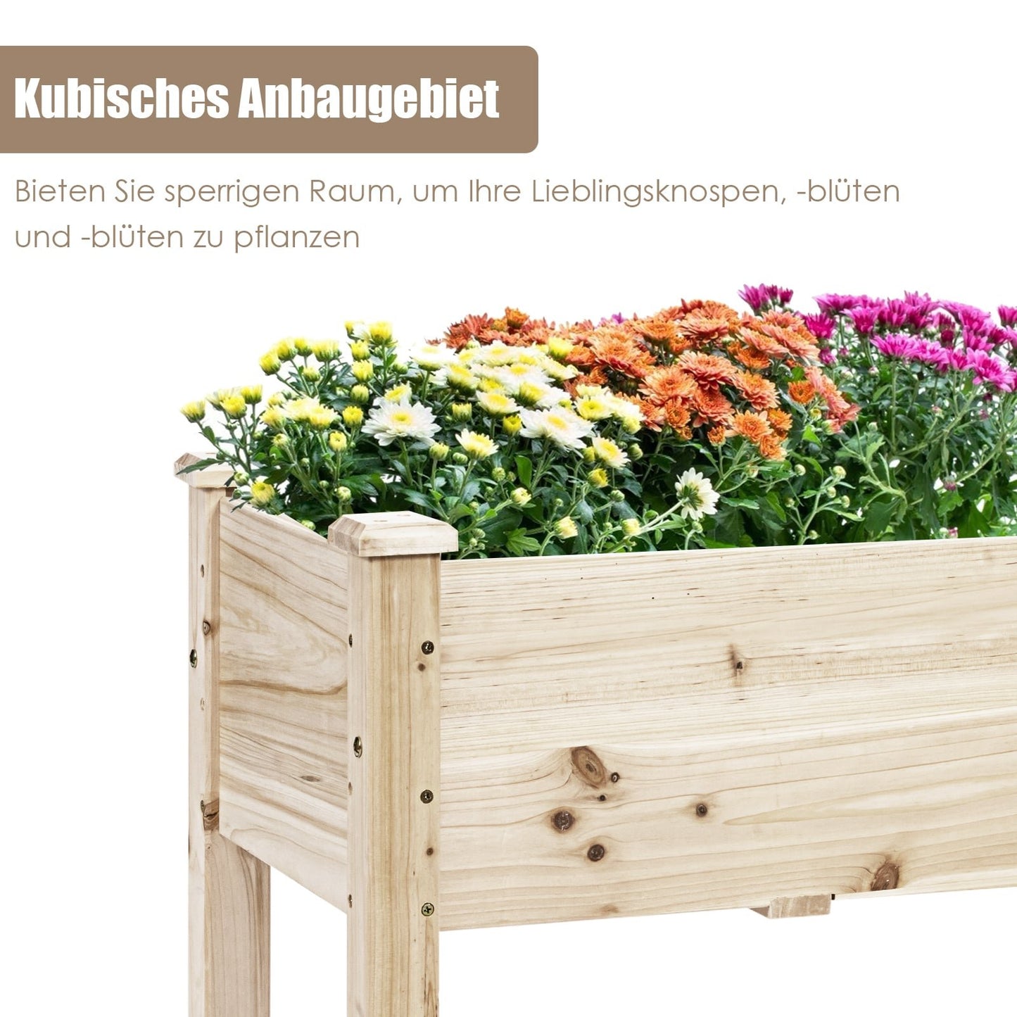 Raised Garden Bed, Cedar Wood, 120x43.5x51 cm, 5 Drainage Holes