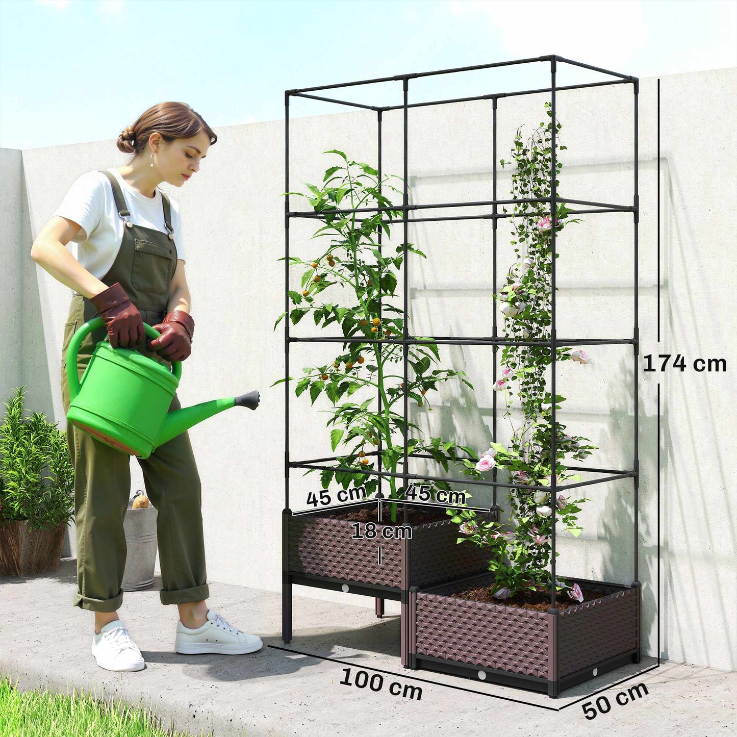 Raised Garden Bed with Trellis, Drainage, 100x50x174 cm