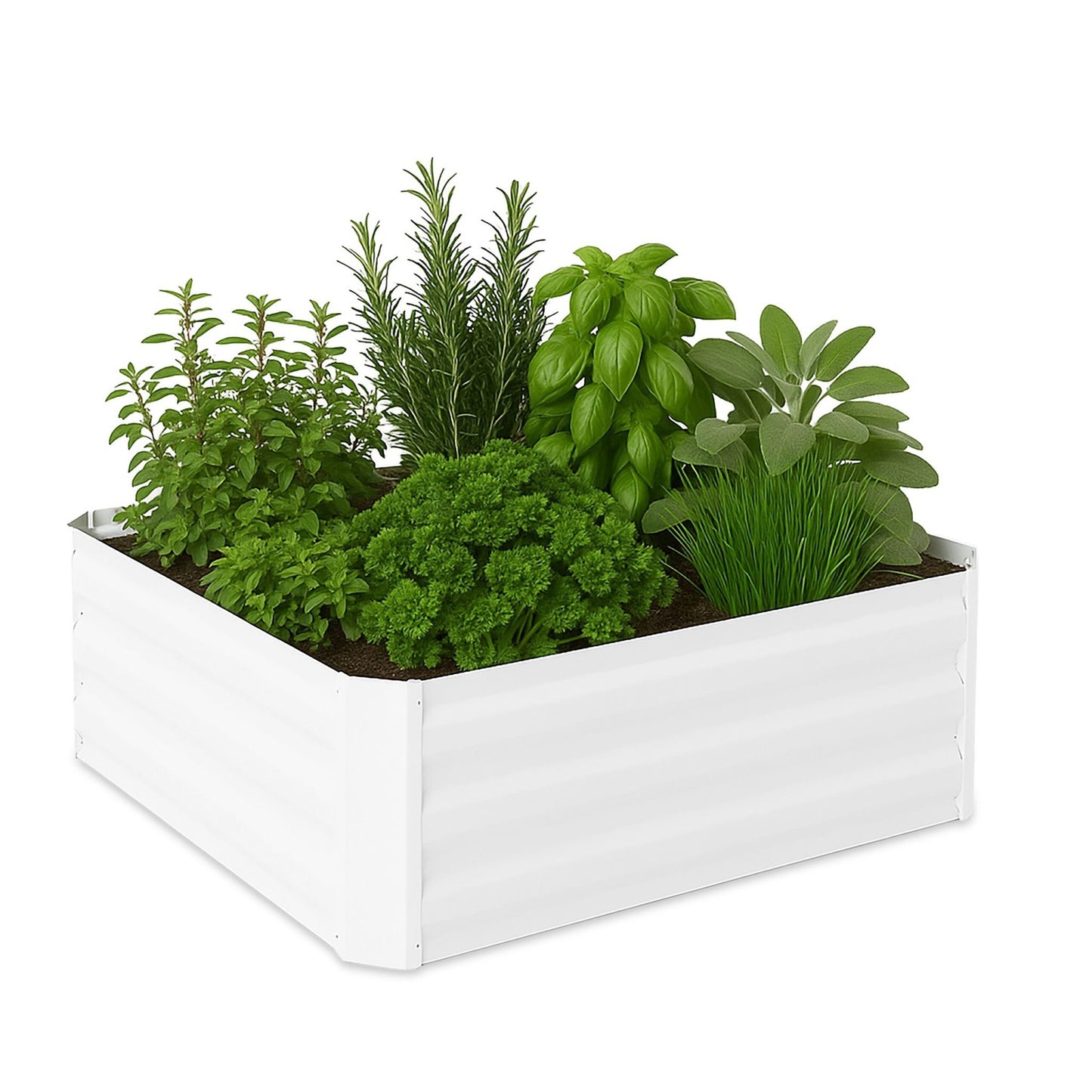 Raised Metal Flower Bed – Rectangular, No Bottom