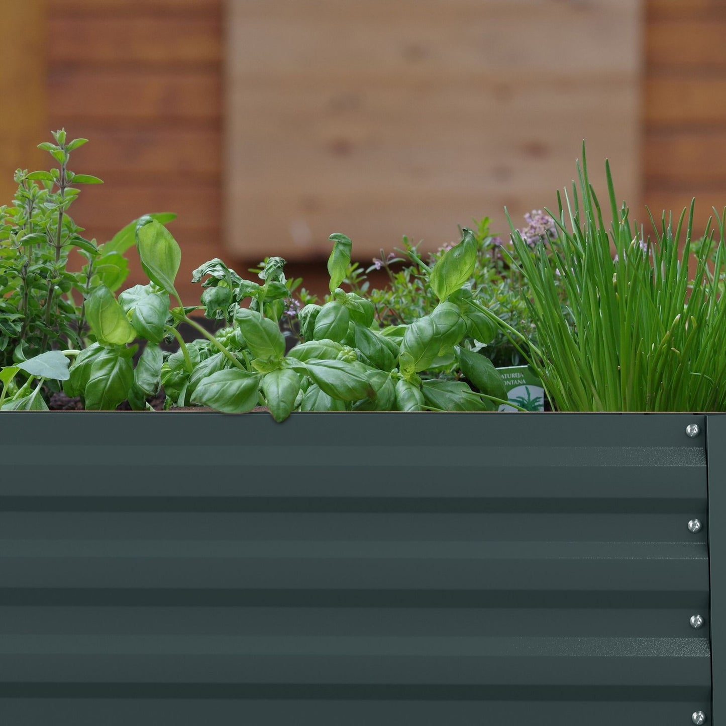 Raised Metal Flower Bed for Vegetables and Herbs