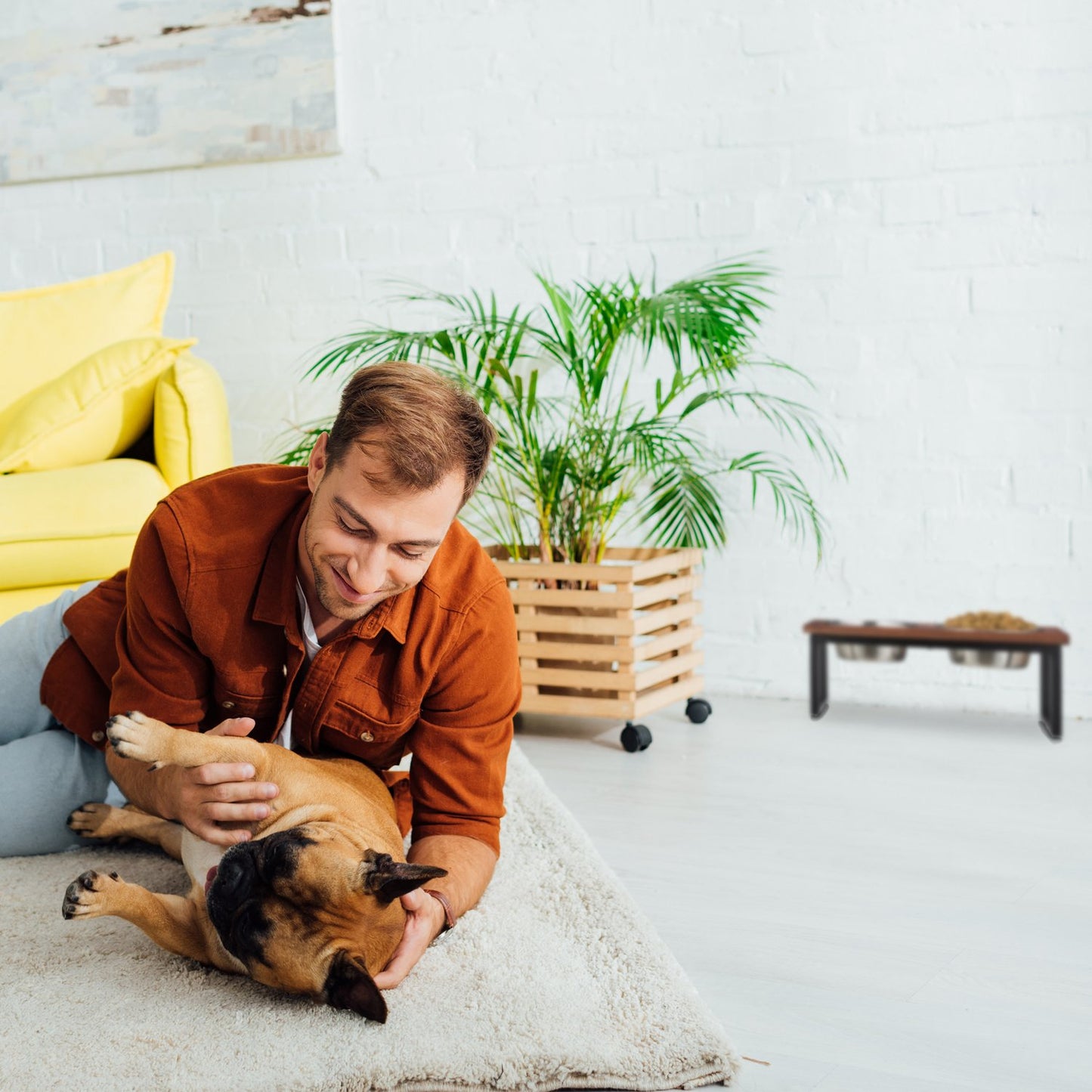 Raised dog bowl made from mango wood